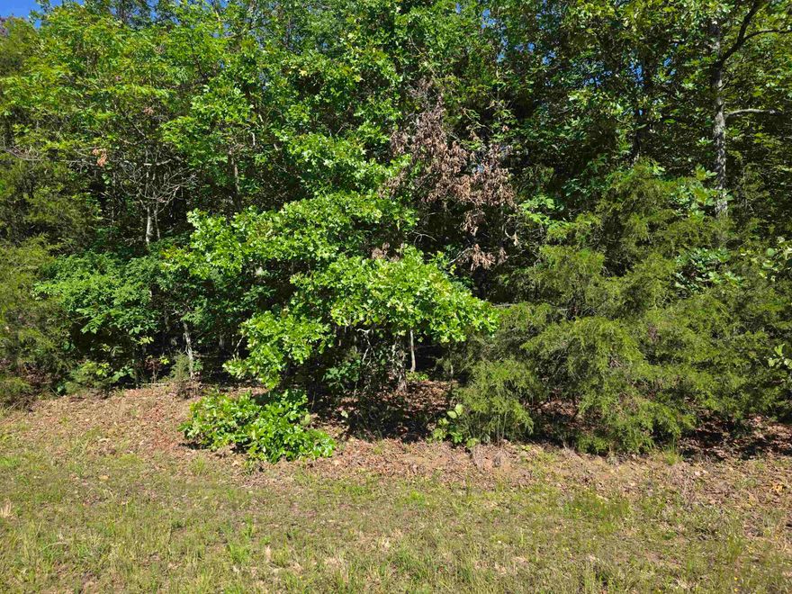 3.85 +/- Acres M/L of beautiful woods to build your hunting camp, homestead cabin or forever home. This property is located on Barnes Rd and Cedar St. Out of the city limits just far enough out to feel like seclusion. Beautiful woods that are full of trees. Mature trees, cedar, several types of oak, etc. This is a nature lover’s dream. This land would make for great off grid living. Secluded, wooded and loaded with game makes it great for hunting or just watching nature from your little piece of Heaven on Earth. Homesteaders dream property or Off-Grid living at its finest. What more could you ask for? Come see this wonderful property for yourself and pick your spot for your new homestead.