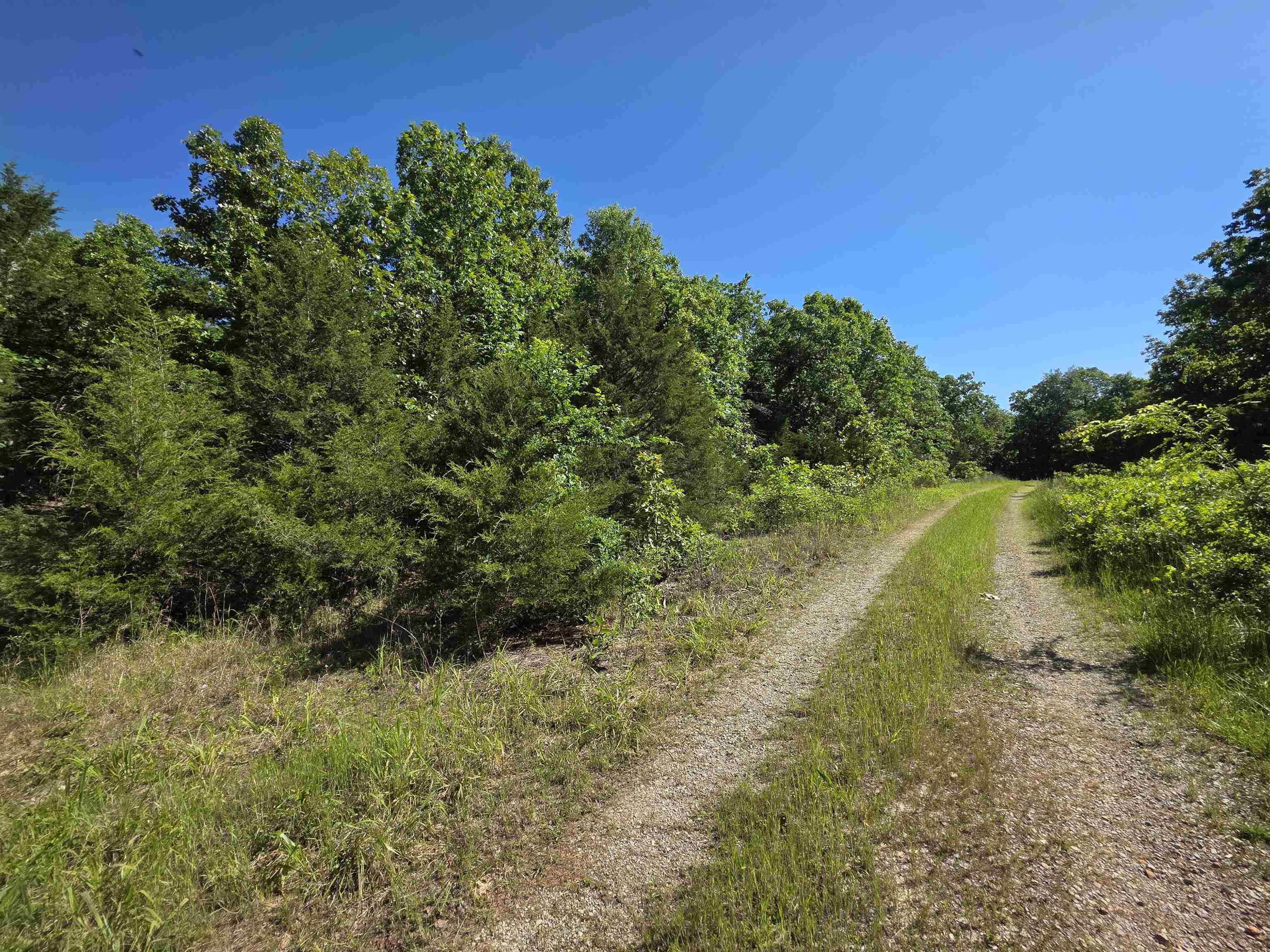 REEDS BLUFF - Land