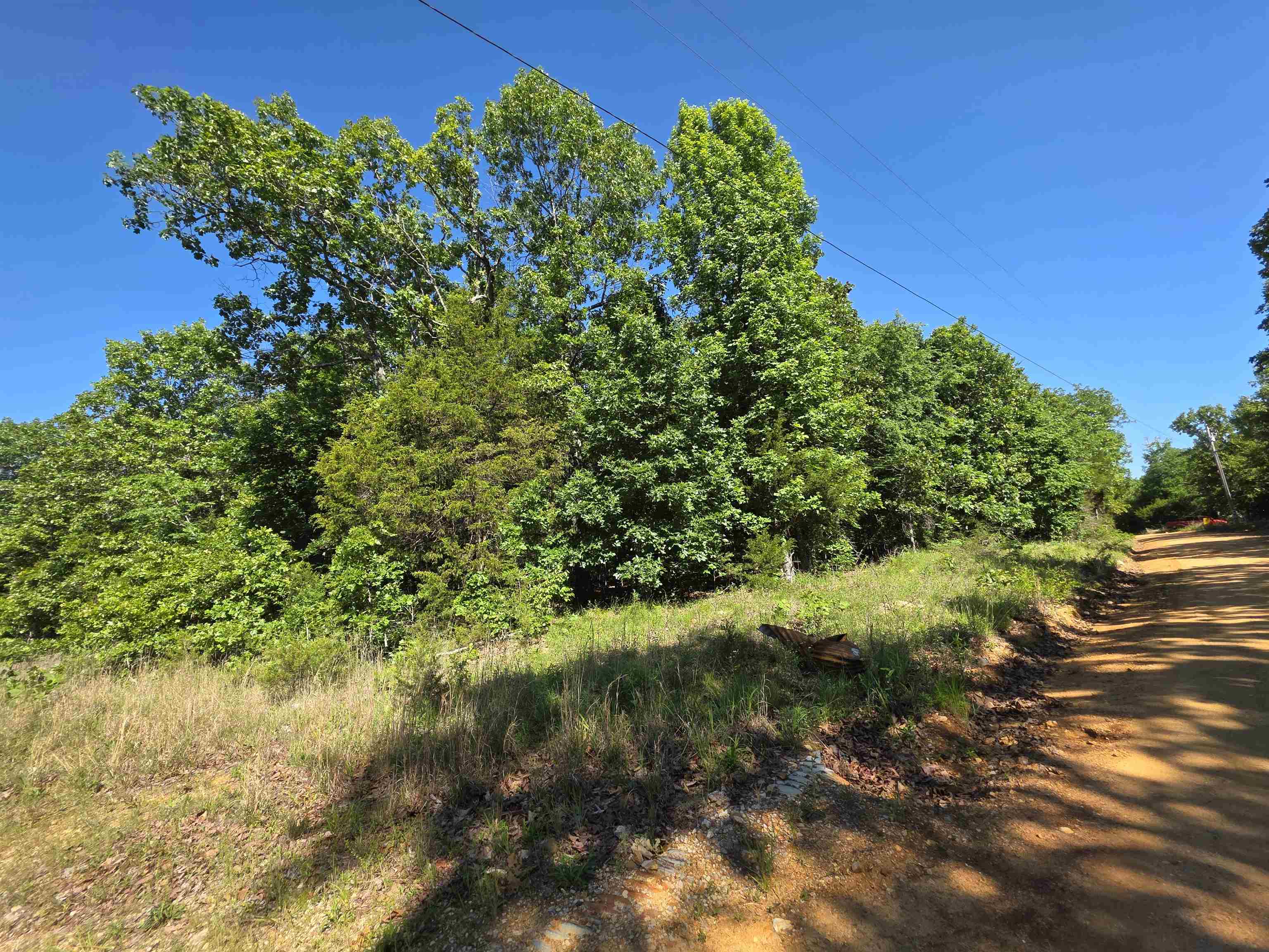 REEDS BLUFF - Land