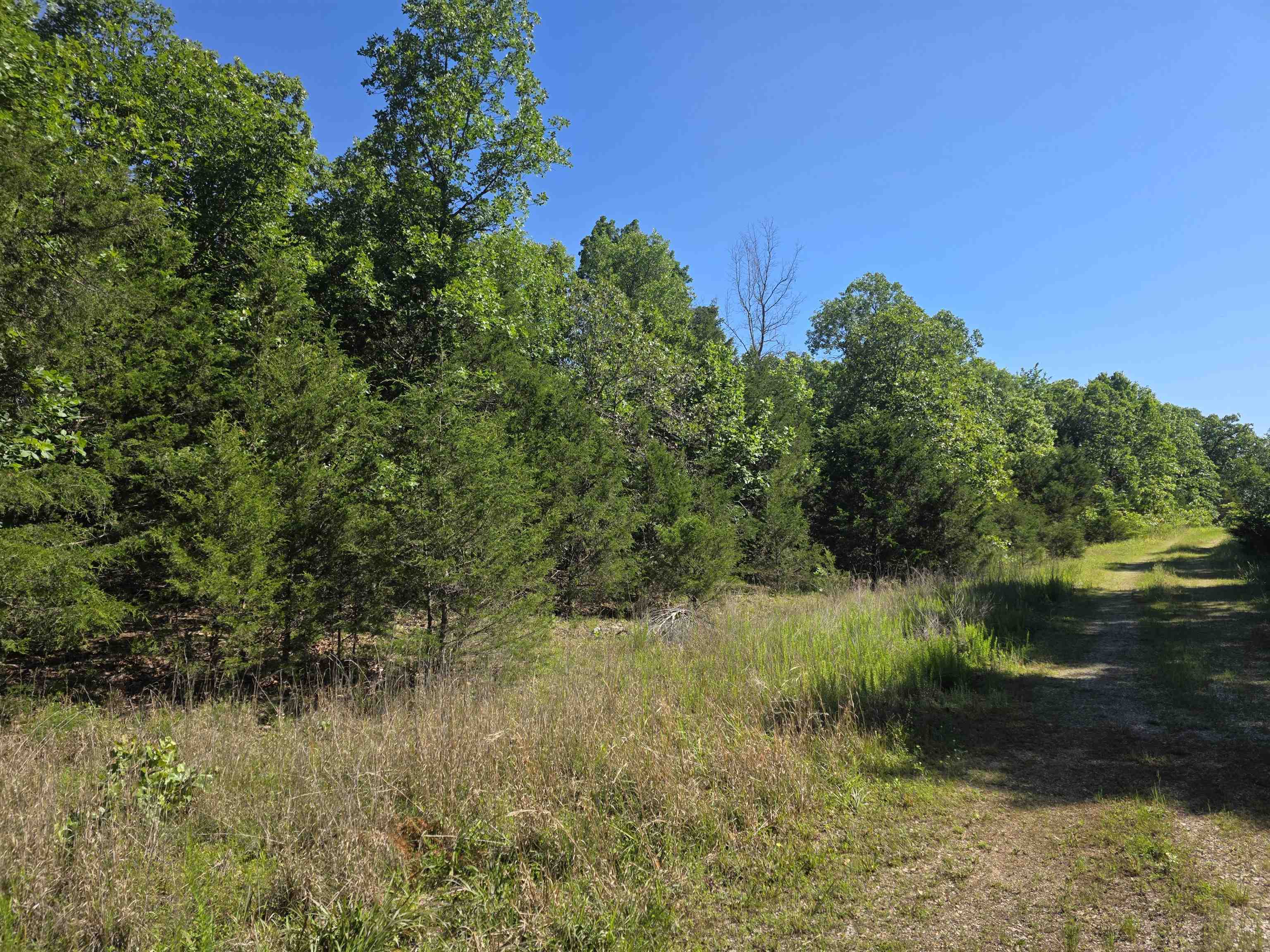 REEDS BLUFF - Land