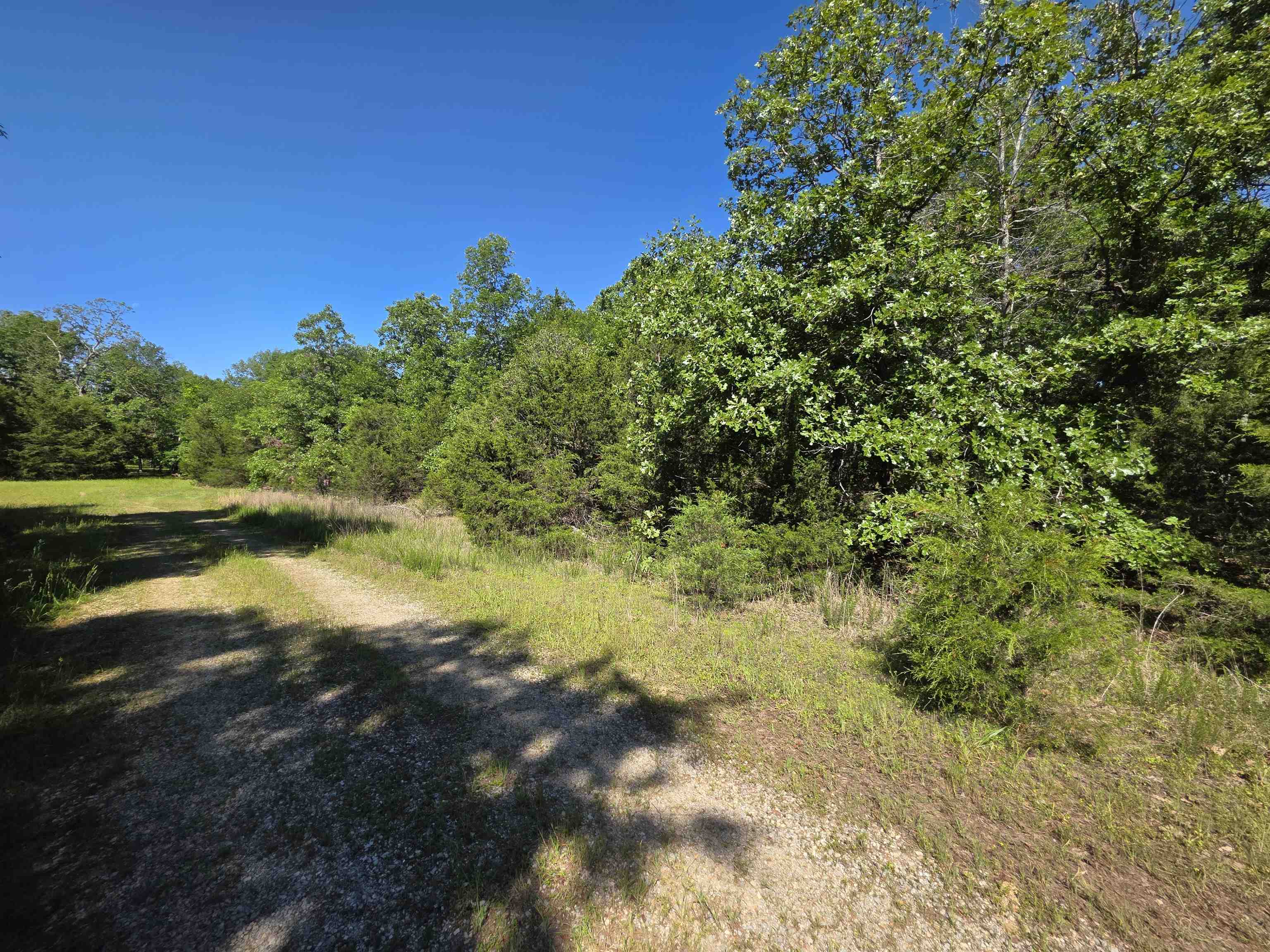 REEDS BLUFF - Land
