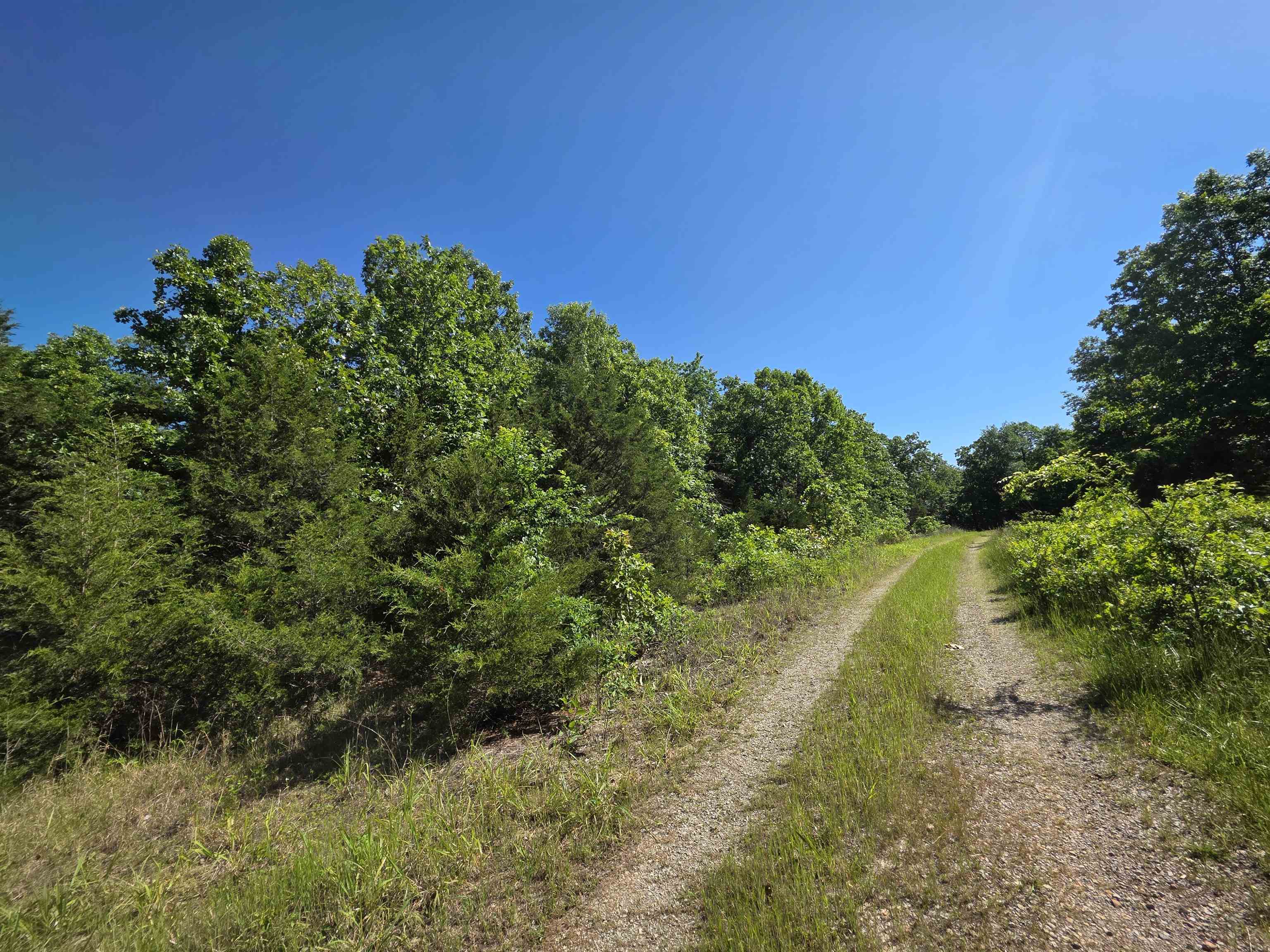 REEDS BLUFF - Land
