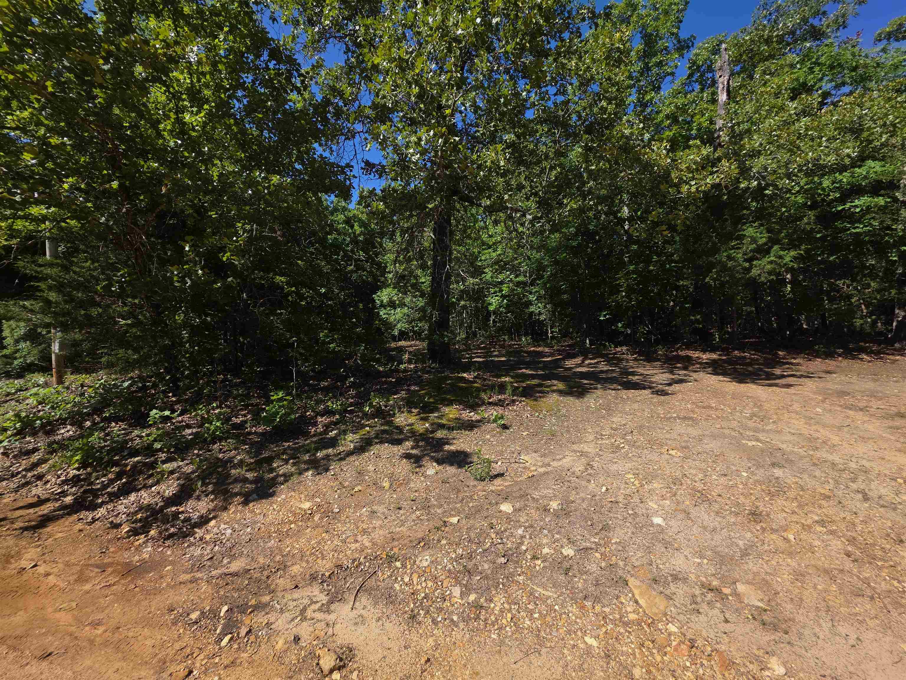 REEDS BLUFF - Land