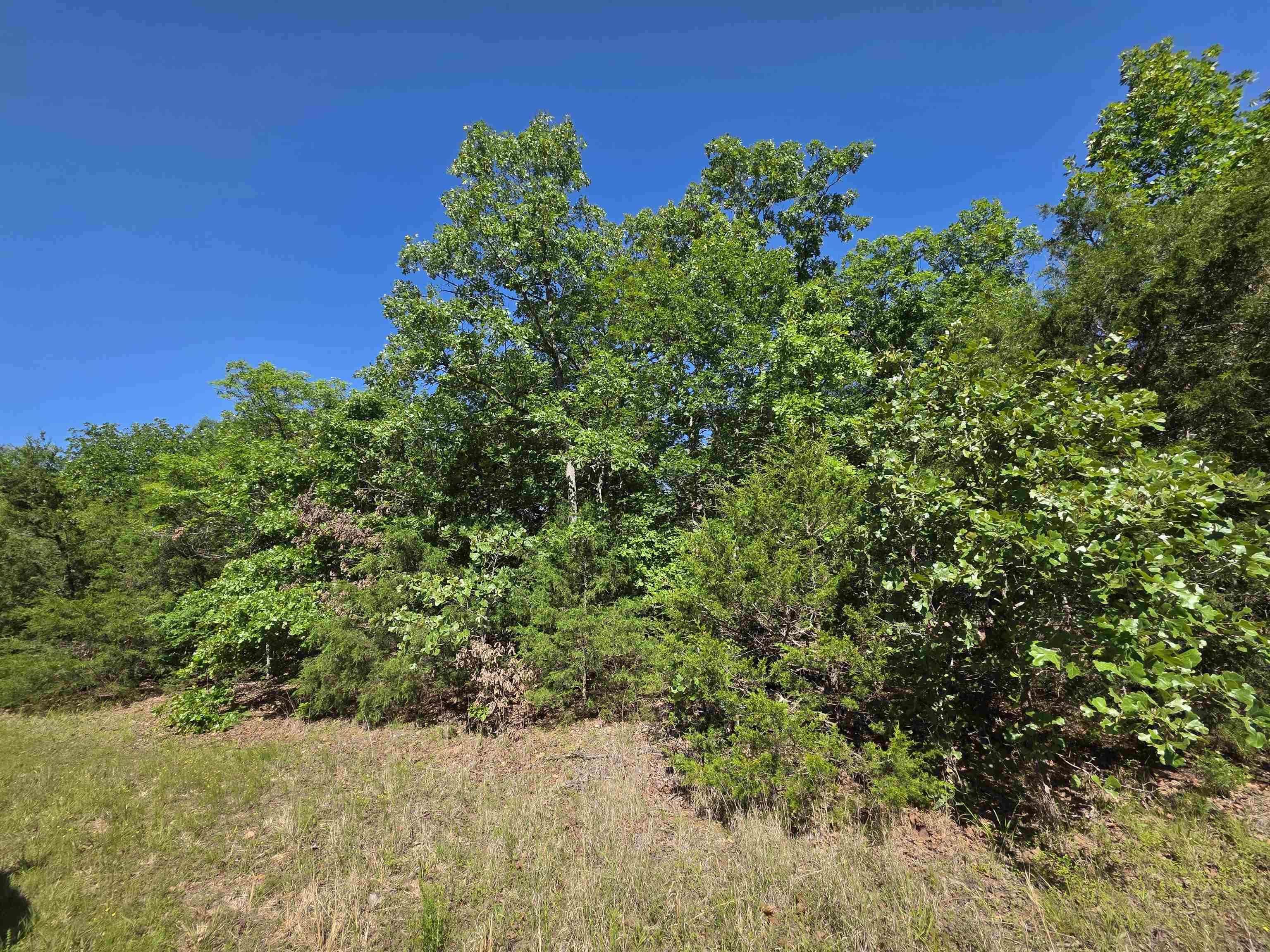 REEDS BLUFF - Land