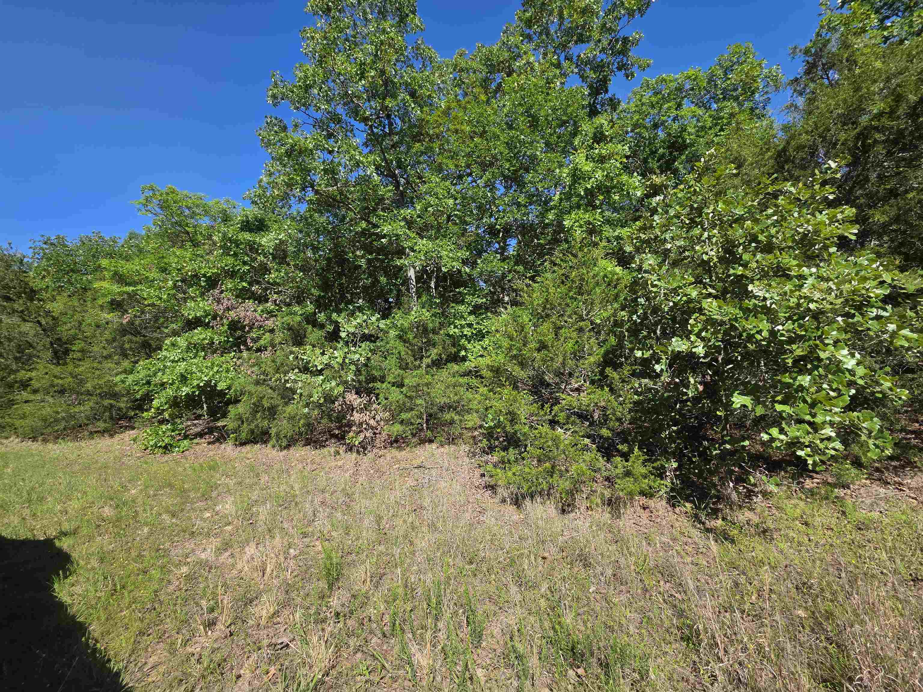 REEDS BLUFF - Land