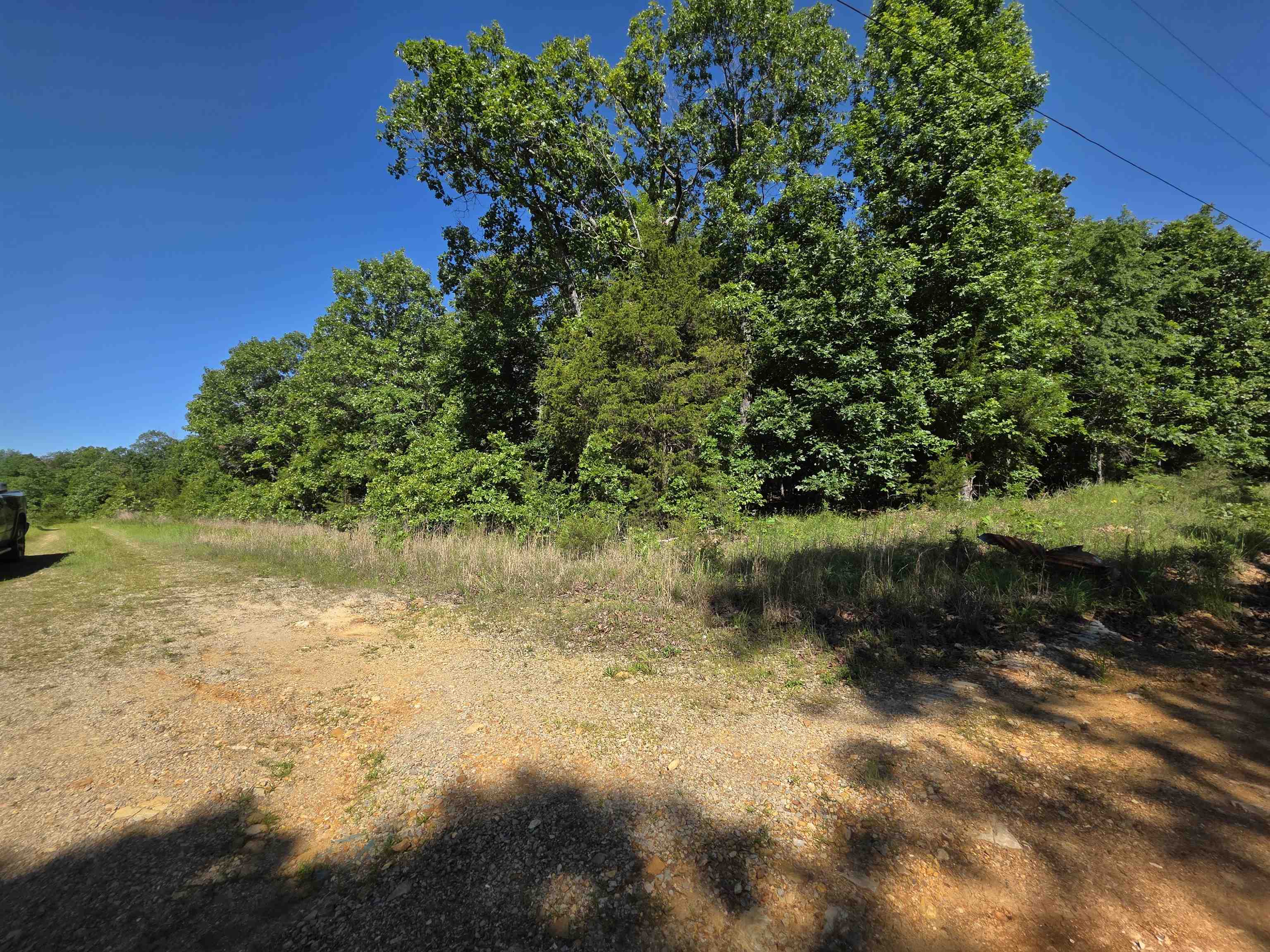 REEDS BLUFF - Land