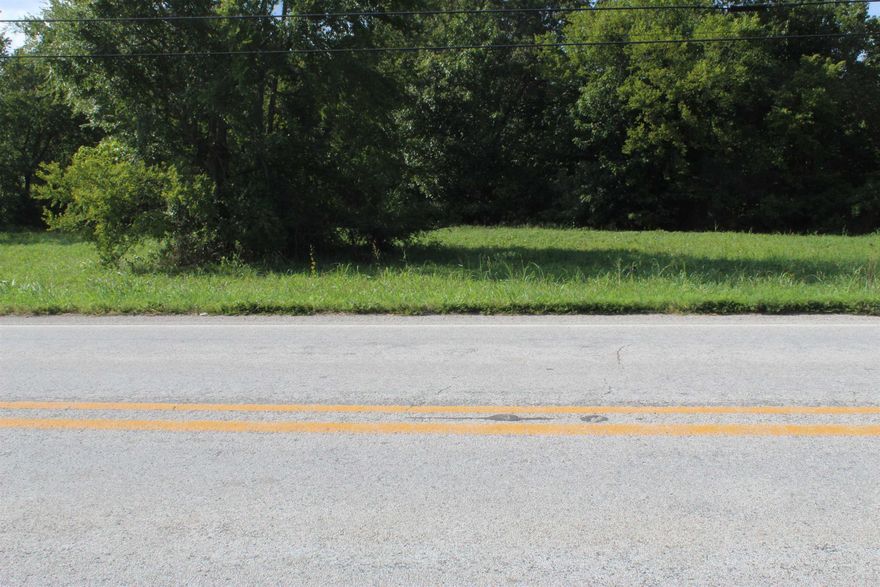 HWY 27 FRONTAGE!!! 1 +/- acre lot located 1/4 of a mile off of Hwy 65 this lot would offer a business opportunity for someone looking for a place to put in a business with a lot of exposer to the passers by. It would also offer the opportunity for a home which would be close to all stores in Marshall where you can gather all the things needed for day to day life. Located just a short drive to the Buffalo National River where you can enjoy kayaking, canoeing, horse back riding, fishing, hunting and numerous other outdoor activities. Only 1 1/2 hours away from Branson Mo. for live entertainment. Agent has ownership interest. Don't miss out !!!