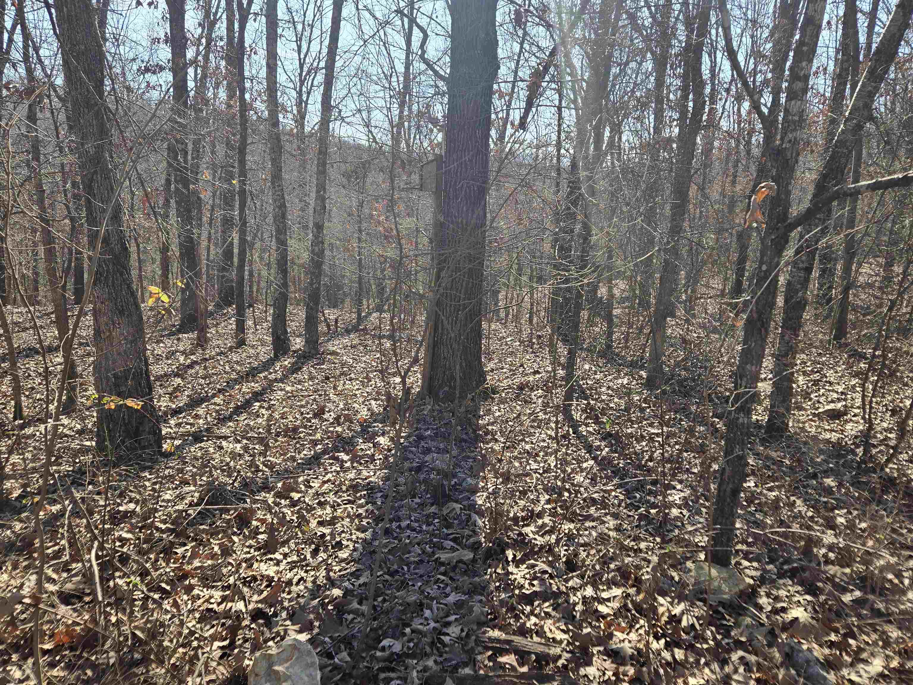 South Star - Residential