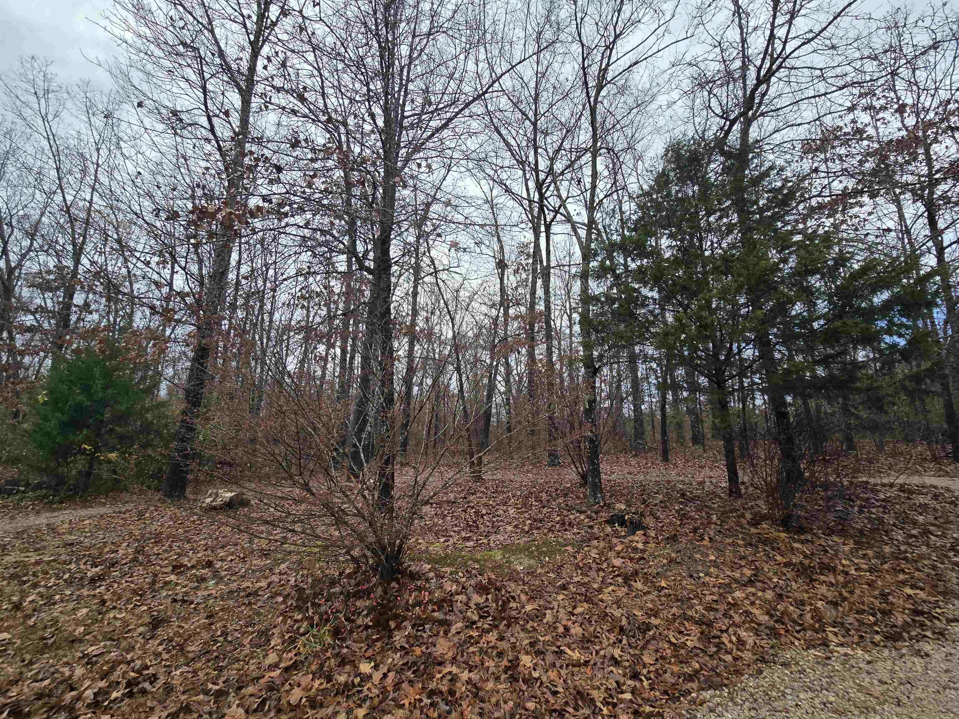 South Star - Residential