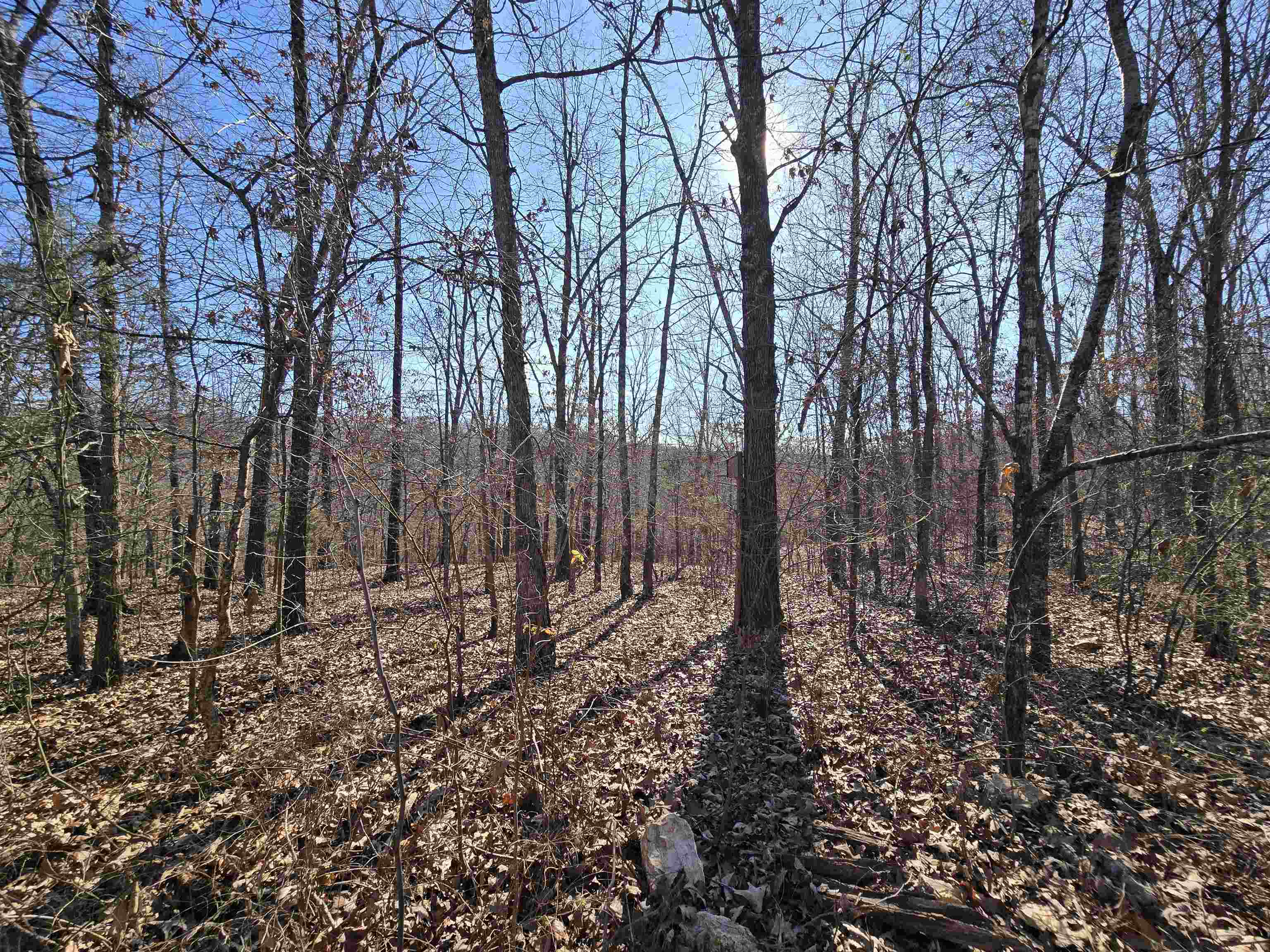 South Star - Residential