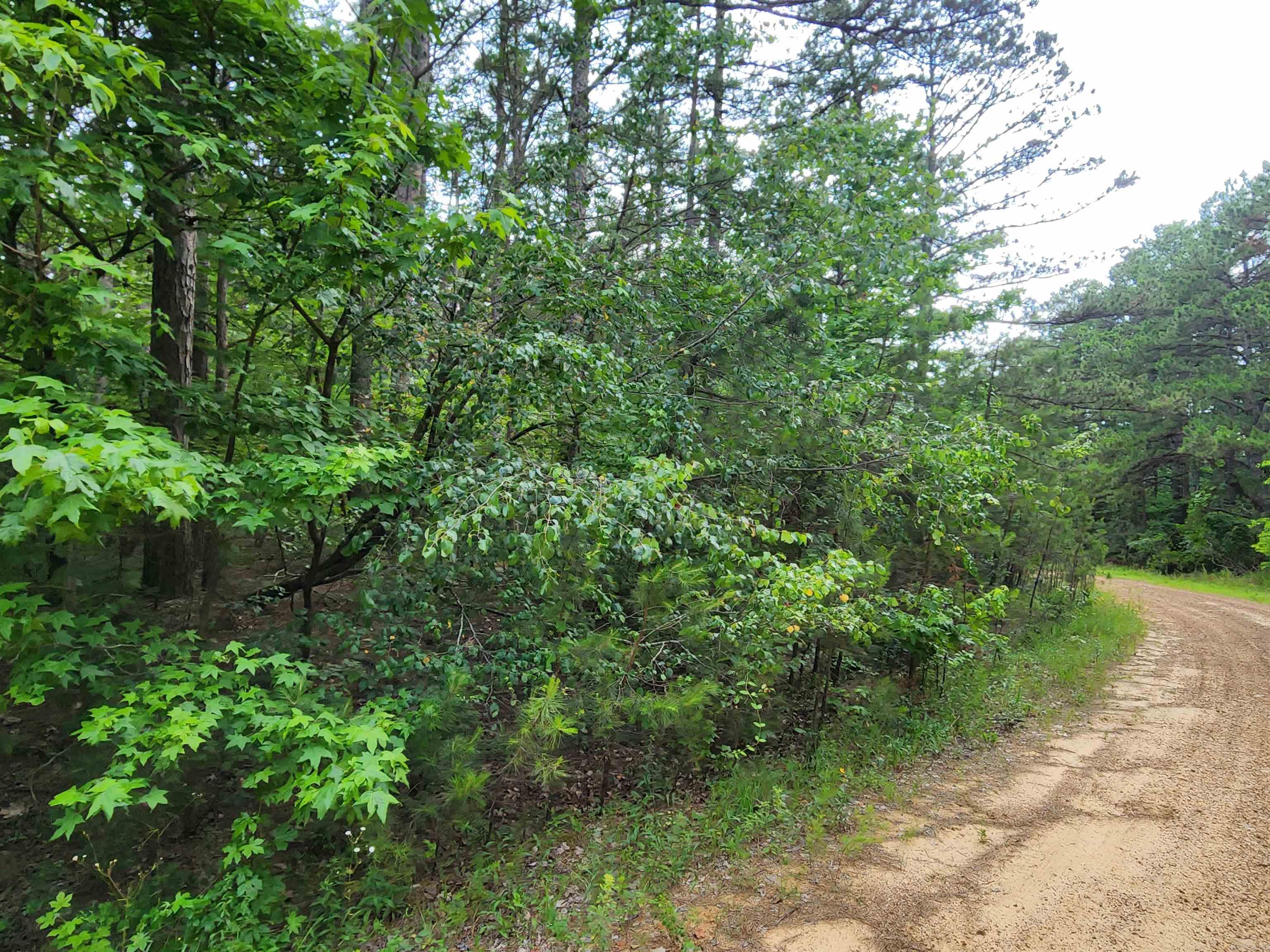 Come and see the serene beauty of Fairfield Bay with this residential lot nestled on a corner lot & dirt road. Located near the enchanting Greers Ferry Lake, This wooded lot presents the perfect opportunity to build your dream home or peaceful getaway in the heart of nature. Embrace the tranquility and privacy offered by surrounding trees allowing you to create a secluded piece of heaven. Enjoy the convenience of being just a short distant from Greers Ferry Lake, you'll have access to endless water-based activities such as boating, fishing, swimming, Fairfield Bay also offers 3 communities pools, mini golf, bowling, hundred miles of ATV & hiking/biking trails and so much more.