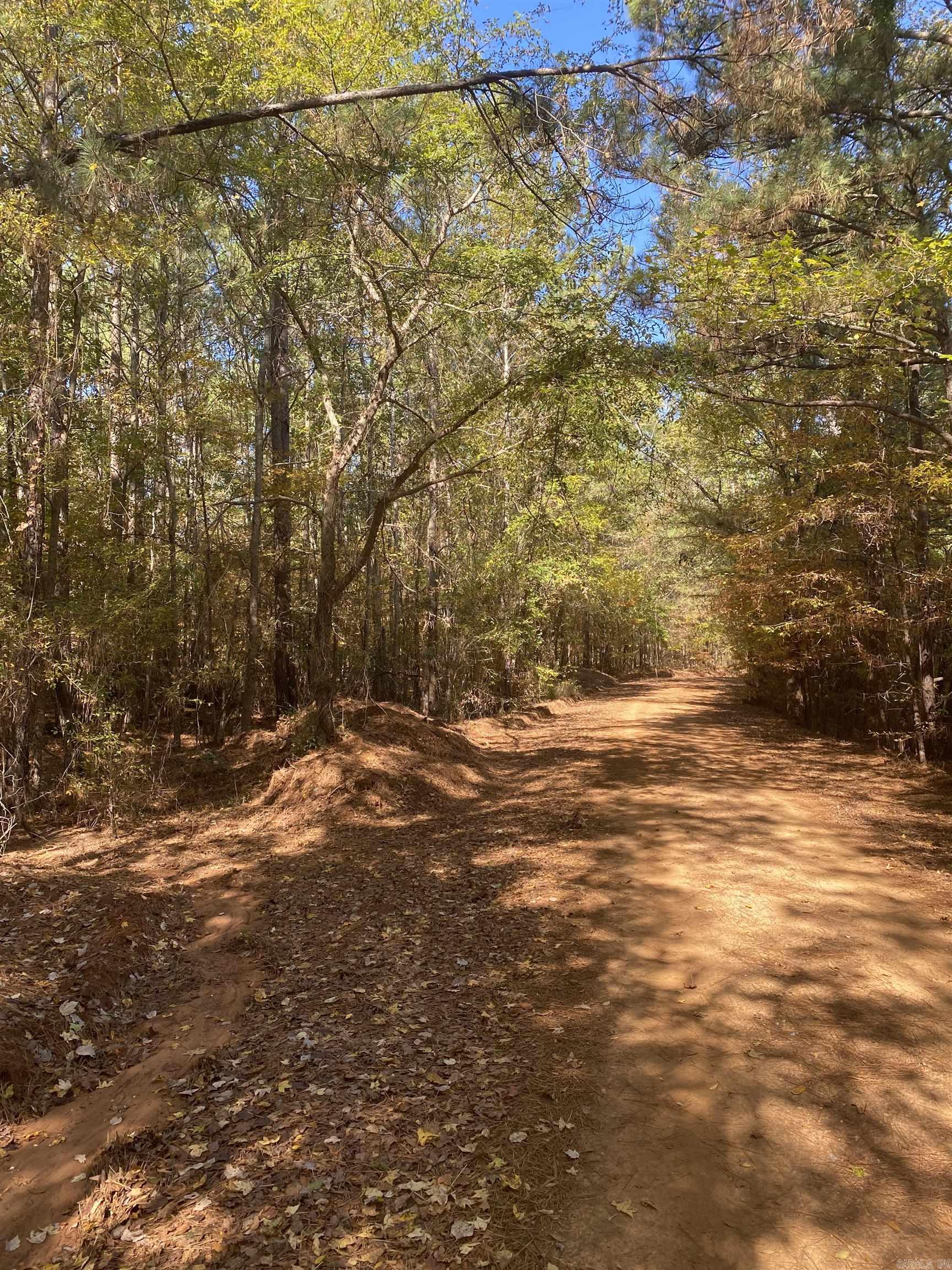 TRACT IS FULLY TIMBERED WITH PUBLIC ROAD ACCESS WITH ELICTRIC UTILITIES CLOSE BY. TRACT IS FULLY TIMBERED WITH MATURE STANDS AND WELL STOCKED WITH MIX OF PINE AND HARDWOOD ON APROX 76 ACRES OF UPLAND HARDWOODS/CYPRESS ON APROX 57 ACRES OF BOTTOMLAND WHICH OFFERS FLOOD POTENTIAL FOR DUCK HUNTING ALONG WITH DEER AND SQUIRREL HABITAT. PART OF THE WEST AND ALL OF THE NORTH LINES JOIN SULPHUR RIVERWMA/MERCER BAYOU WHICH OFFERS ADDITIONAL HUNTING AND FISHING OPPORTUNITIES THIS TRACT COULD SERVE AS WEEKEND RETREAT OR BUILD YOUR PERMANENT DREAM HOME