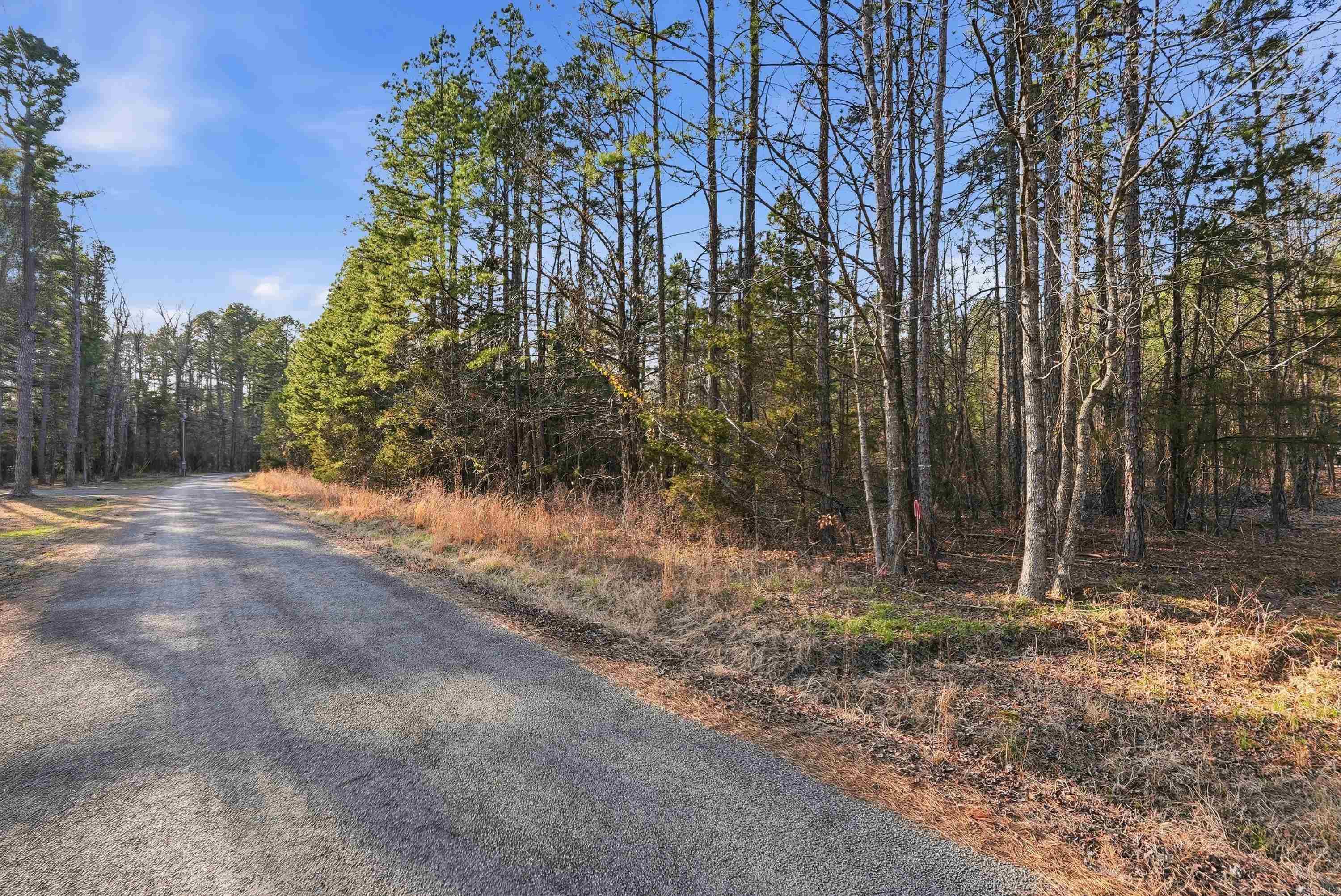 Tharps Whispering Pines - Land