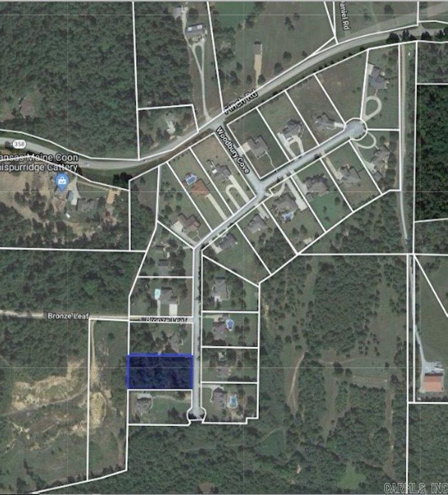 Beautiful building lot ready for your dream home! This mostly cleared parcel offers the perfect blend of open space and natural privacy, with mature trees lining the back of the property. Enjoy a peaceful country feel while still being part of a well-maintained subdivision. Ideal topography for a basement home, giving you extra design possibilities and functional living space. See associated documents for subdivision restrictions