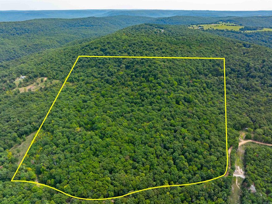 Welcome to the market! Discover 69 +/- acres of prime deer hunting land nestled in the heart of the Ozarks. This wooded property, located in Green Forest, Arkansas, just outside Osage and minutes from Alpena, is a true gem in Carroll County, Arkansas, and is also close to the renowned Eureka Springs. If you've been searching for the perfect piece of land teeming with wildlife, this is the property for you! A haven for hunters and outdoor enthusiasts, this land is rich with an abundance of white-tailed deer, bear, turkey, small game and 2 ponds. Carroll County, located in Zone 1, is especially known for its excellent black bear hunting. To illustrate, during the 2022 bear season, 305 bears were harvested in Zone 1, and that number increased to 453 in the 2023 season, showcasing the area's thriving bear population. This property offers not only a prime hunting location but also a serene retreat for nature lovers. Access to the land is convenient, with just 1/4 mile of gravel on County Road 961 leading you to your hunting sanctuary. Key Features: • Size: 69 +/- acres of wooded land • Location: Green Forest, Arkansas, just outside Osage, minutes from Alpena, and close to Eureka Springs