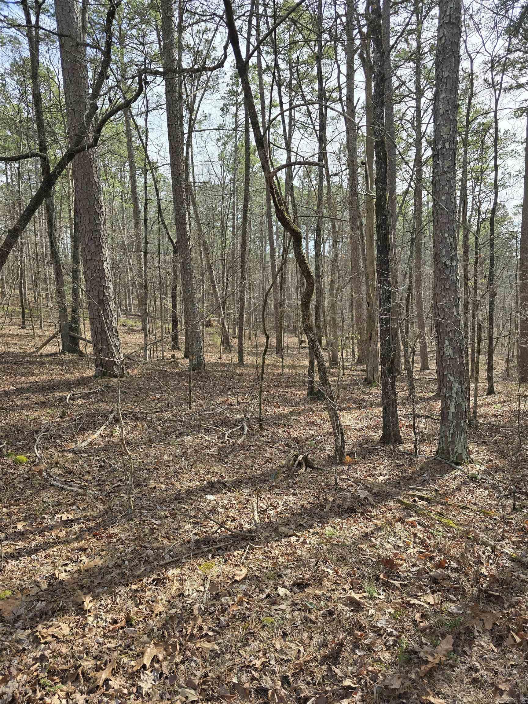 Nestled between Lake Desoto and Lake Cortez, this prime lot offers a rare opportunity to own a piece of Hot Springs Village. They aren’t making any more land—now is your chance to invest! Whether you're looking to build a retirement retreat, an investment property, or bring your vision to life, this blank canvas is ready for your creativity.