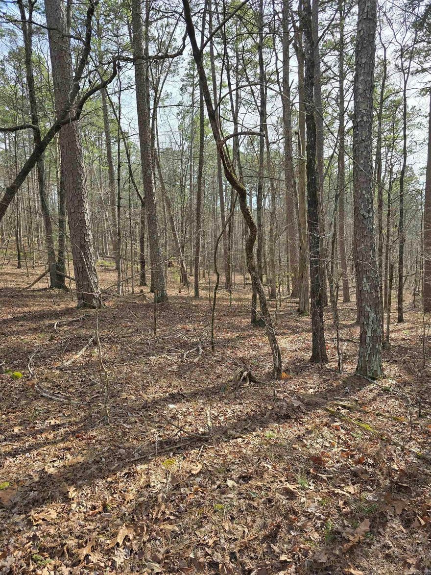 Nestled between Lake Desoto and Lake Cortez, this prime lot offers a rare opportunity to own a piece of Hot Springs Village. They aren’t making any more land—now is your chance to invest! Whether you're looking to build a retirement retreat, an investment property, or bring your vision to life, this blank canvas is ready for your creativity.