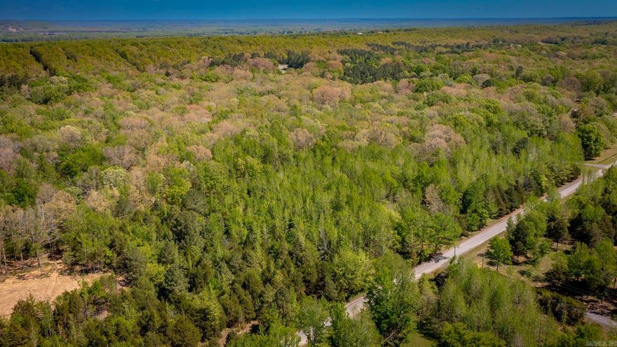 Come build your dream home here on 9.98 acres in the Cabot School District. This level lot is in a wonderful subdivision where you can have neighbors with a bit of shoulder room!