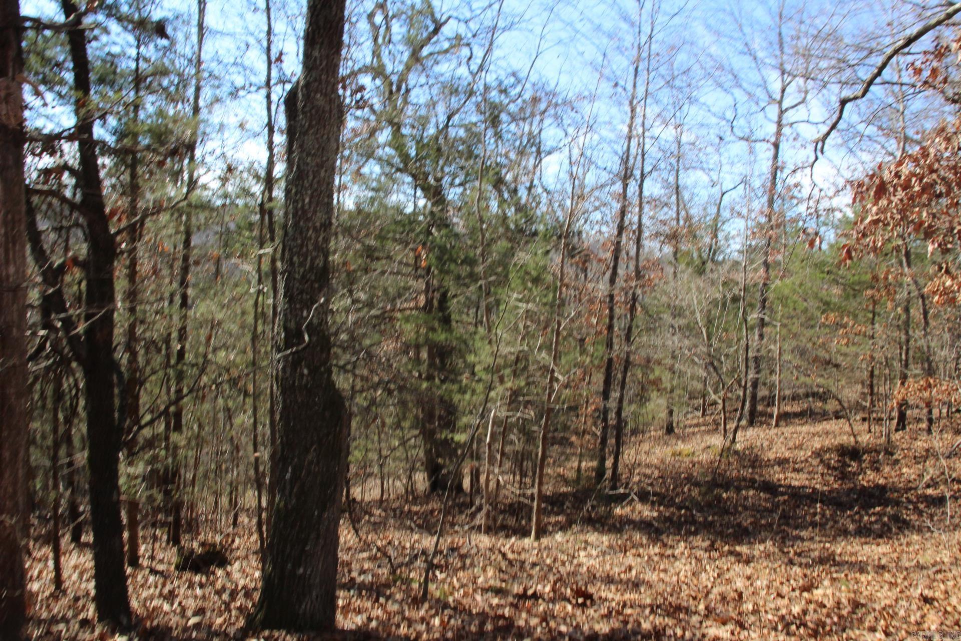 Not in Subdivision - Land