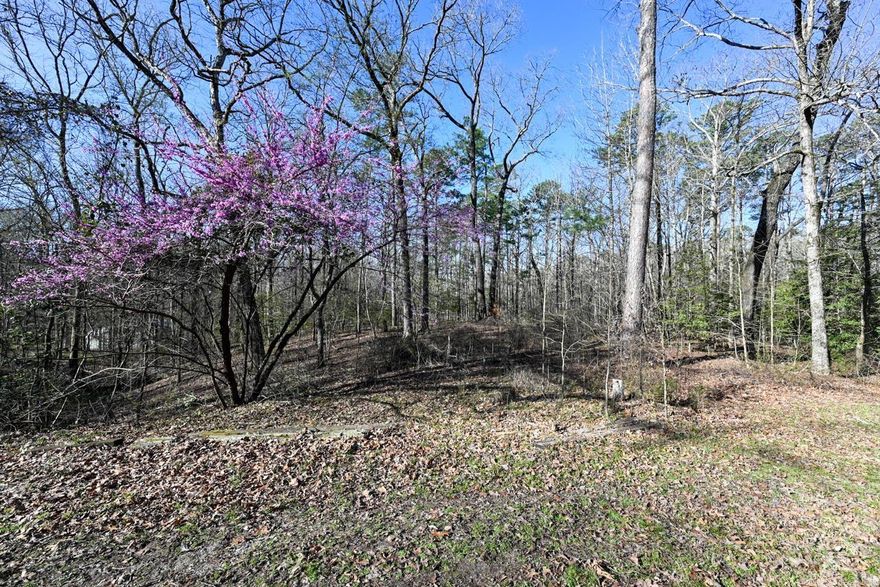 This 1.06-acre parcel near Lake Ouachita and the Twin Creek Recreation area is an ideal location for your new build. The lot offers access to electricity and has water available at the road. It is secluded and surrounded by beautiful trees.