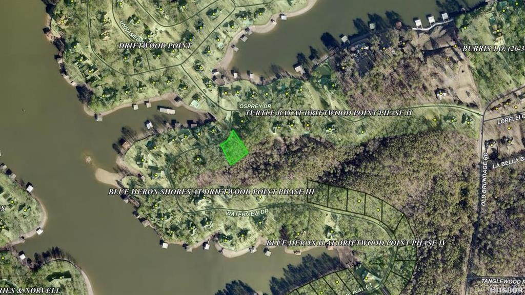 Build your dream home in the serenity of beautiful Blue Heron Shores! Deeded Lake Hamilton access near the end of your driveway for your convenience to enjoy all that 7 South lake living has to offer! Lakeside schools and just over a half acre of land with an elevated building spot. Enjoy the gorgeous sunsets over the mountains and lake from your front porch. Whether you are interested in building for yourself or interested in developing, don't miss this opportunity to utilize this beautiful setting.