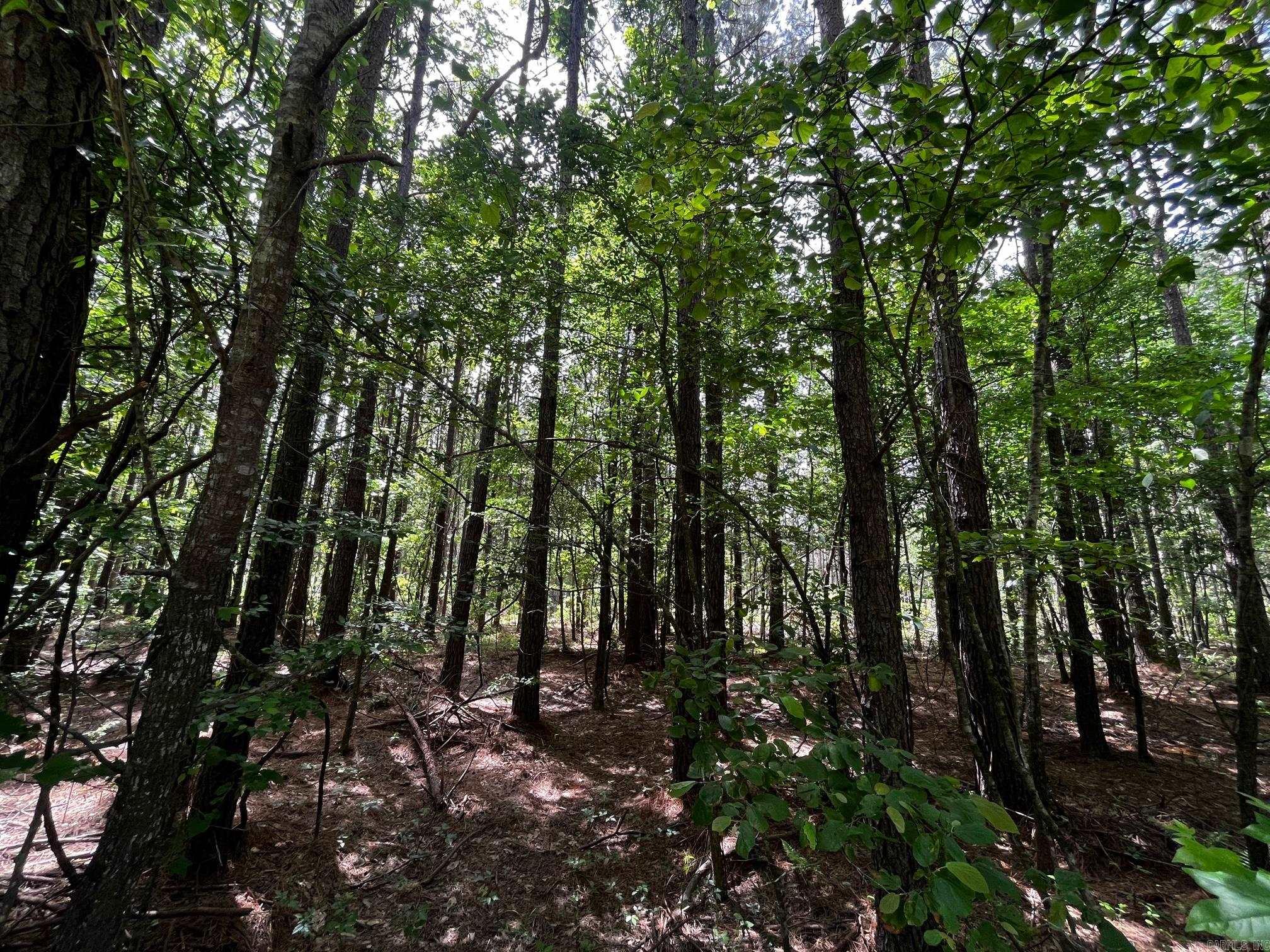 Attention developers: this 165.55-acre tract in Bauxite offers an incredible opportunity for your next residential subdivision project. With access from both W. Miller Sardis Road and S. Sardis Road, this property provides excellent connectivity and multiple entry points for future infrastructure planning. The land features a beautiful blend of uncut hardwoods and pines, offering a natural, scenic backdrop that today’s homeowners value. The size and layout present numerous options for lot division and green space design. Located in a rapidly growing area with demand for new housing, this property is teeming with potential. Whether you're planning single-family homes, estate lots, or a thoughtfully designed neighborhood, this parcel is ready to bring your vision to life.