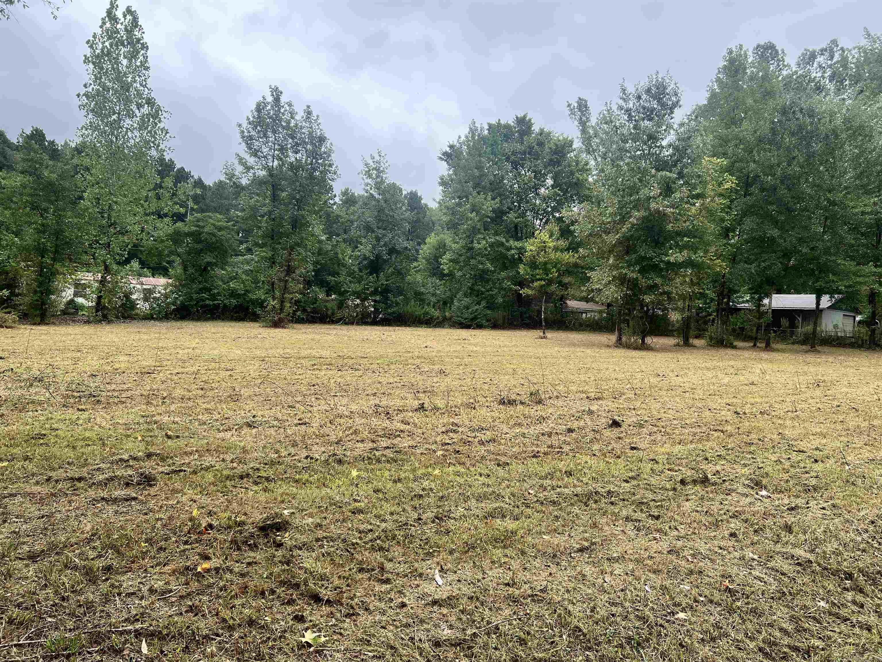 Pine Park - Land
