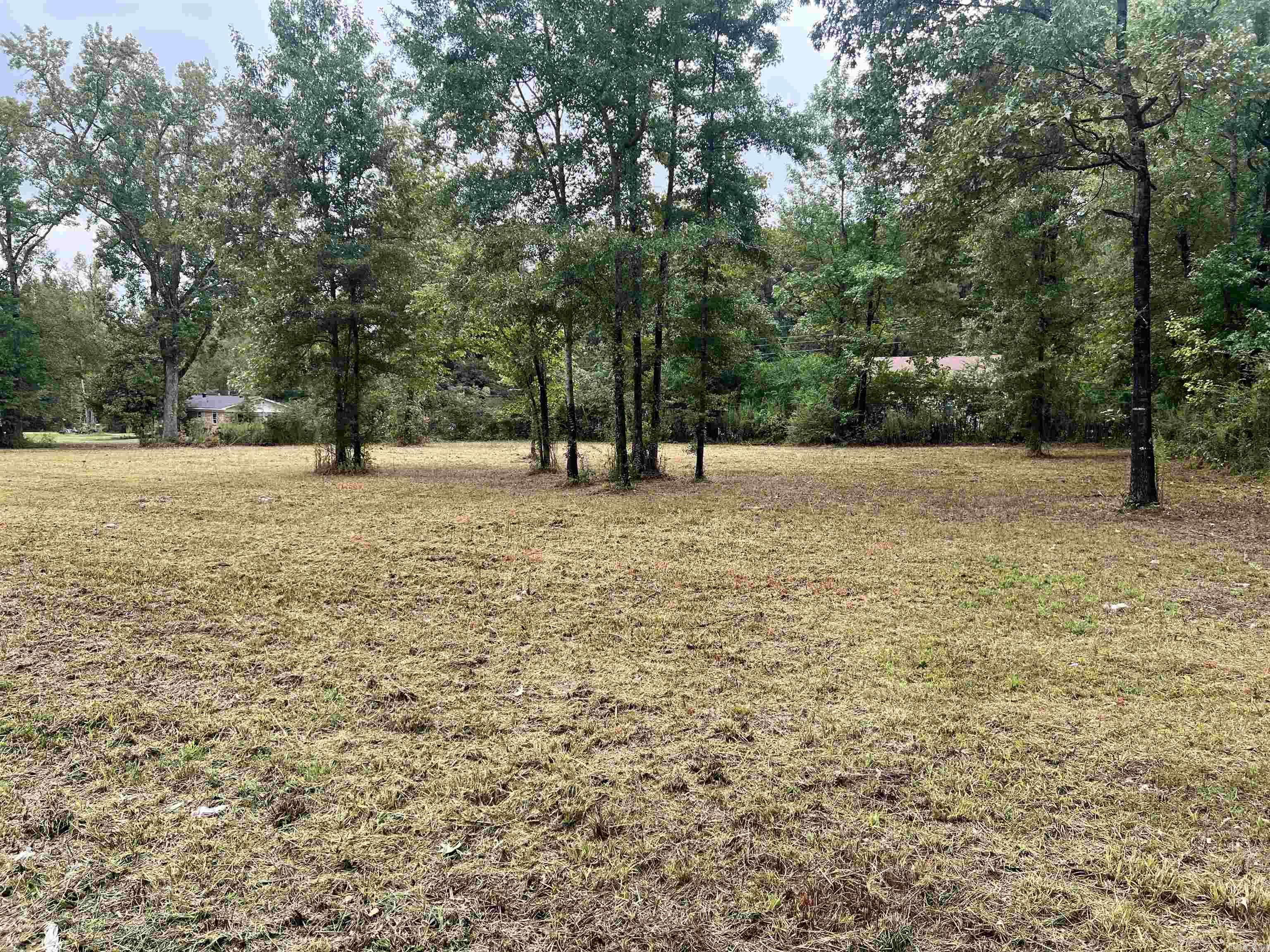 Pine Park - Land