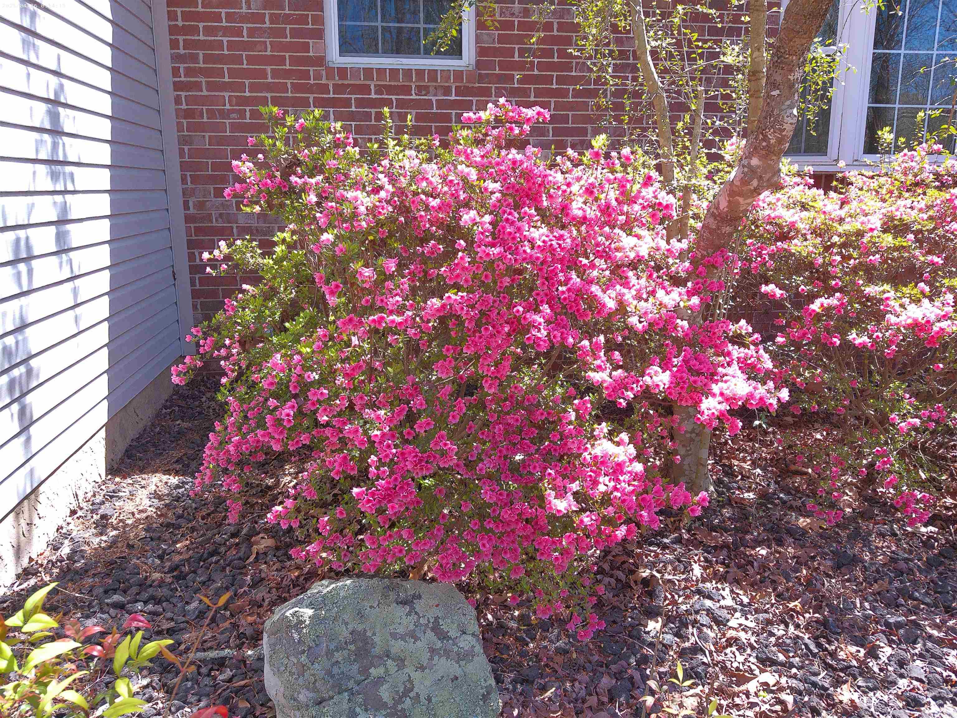 ALICANTE - Residential