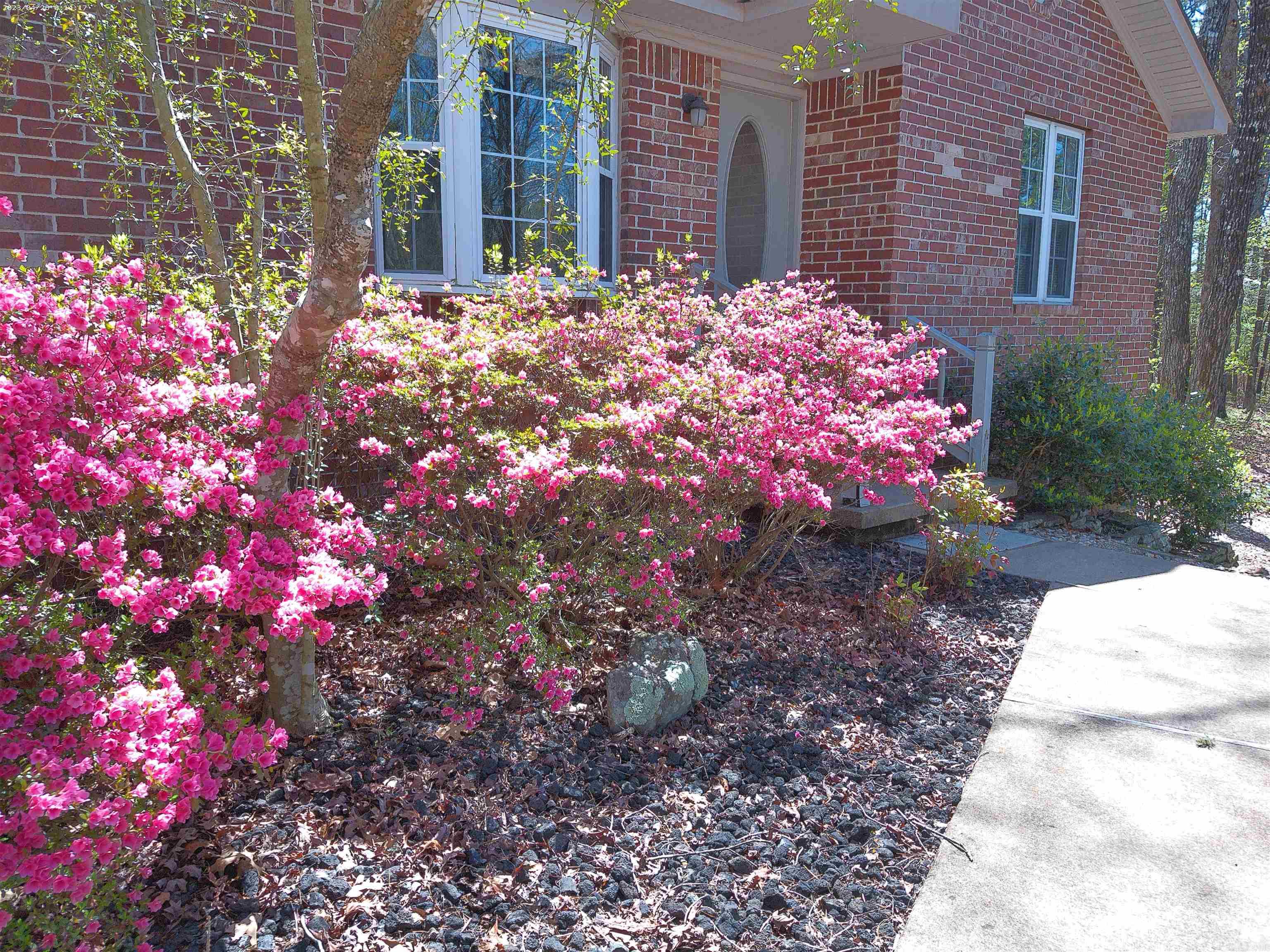 ALICANTE - Residential