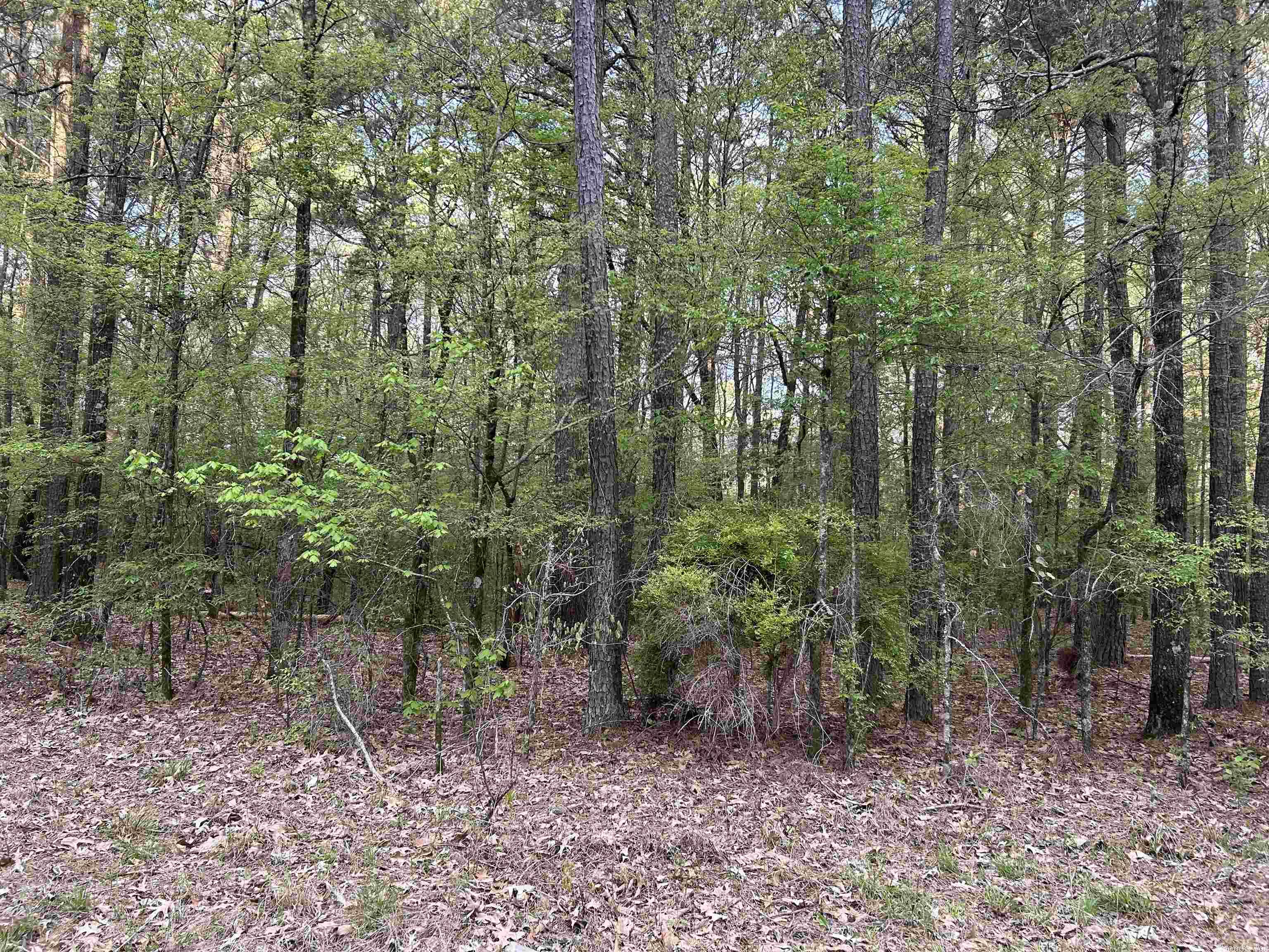This vacant property contains approximately 1.61 acres. New survey markers on the property. Quiet neighborhood to build your dream home.
