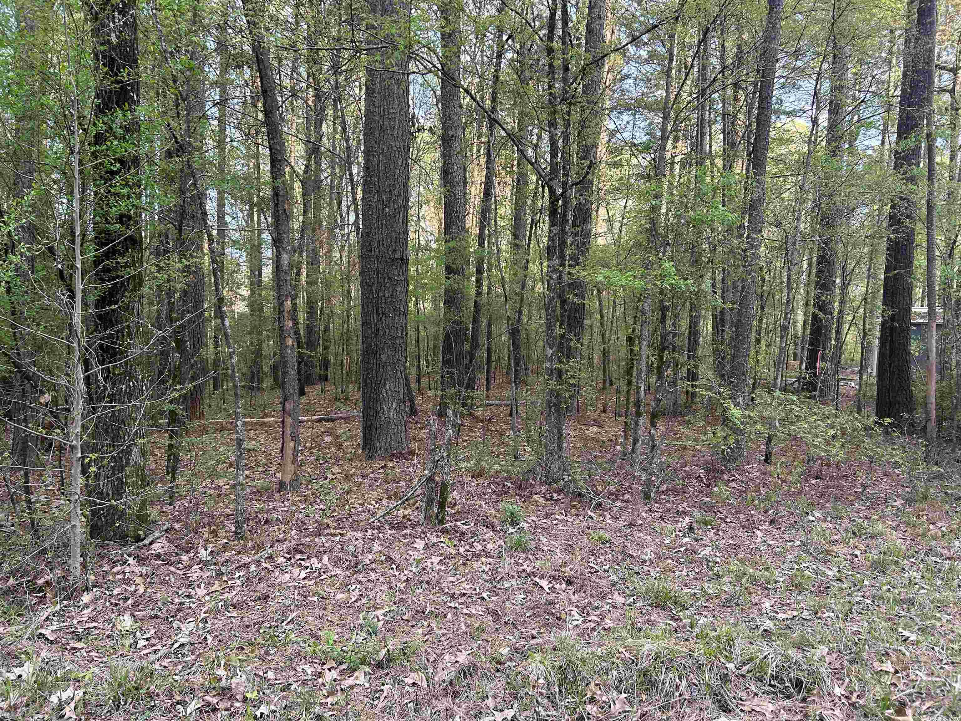 Not in Subdivision - Land