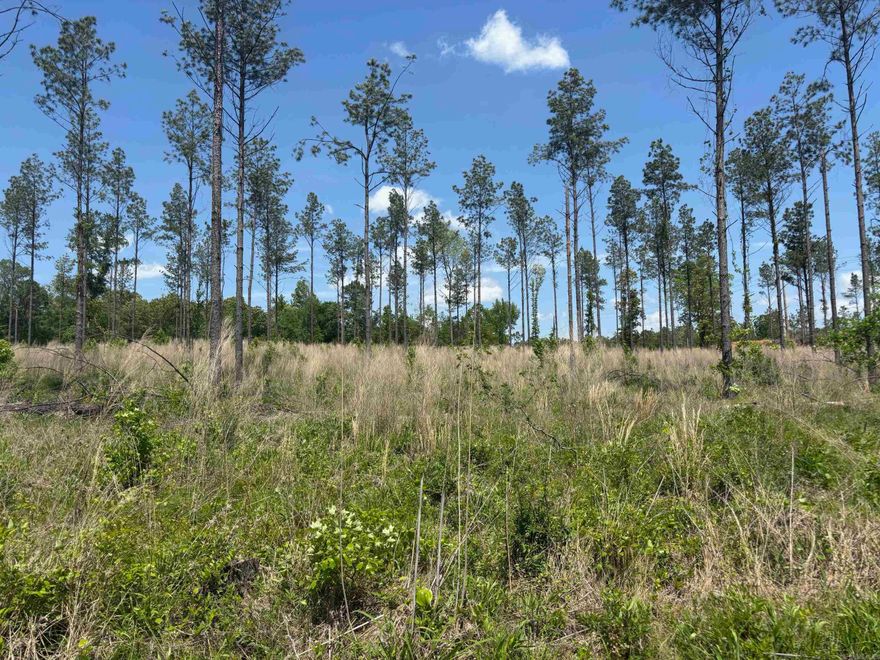 Perfect location out by the Golf Club*public water*nice hilltop*paved road*private setting*barndominiums allowed*metal shops allowed*Sheridan School District and located within 2 miles of the schools*map link is correct on this post*this tract is on the corner of Grant 433 and Grant 43 (north side of Grant 433)