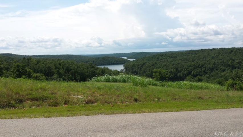 Year round view of Lake Norfork in Panther Cove Subdivision. Just minutes from Mountain Home nestled in the Ozarks! Stunning views of the lake in the front and your own private woods in the back. All paved roads, city water, underground utilities and the septic system is already installed. Restrictive covenants to protect your investment! Perfect for your dream home, retirement home, or vacation retreat!