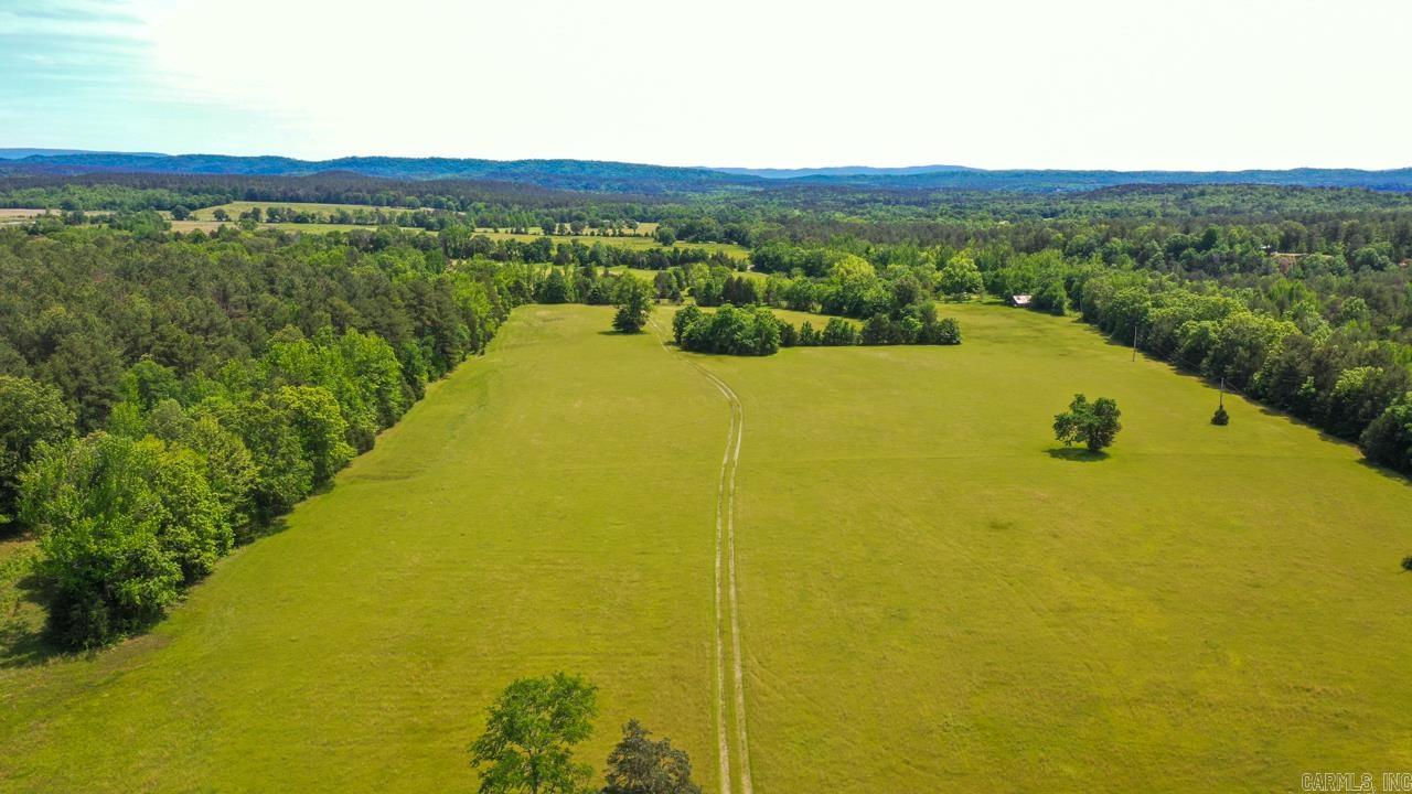 Your ideal property awaits! This remarkable 79 +/- acres features a mix of level land, partially wooded areas, and open space. You'll appreciate the natural beauty, complete with a creek, two ponds, and the Ouachita National Forest bordering three sides. The property includes three wells, two septic systems, and electricity available in multiple locations. There are also stunning building sites along with deer feeders and stands.