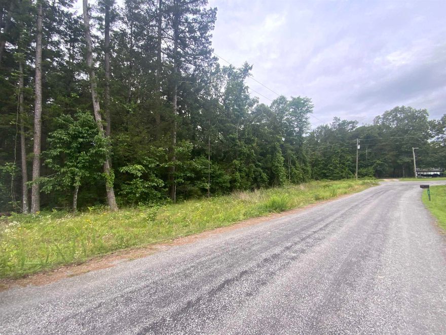 Nice wooded lot on a paved road close to the lake and Narrows Park.