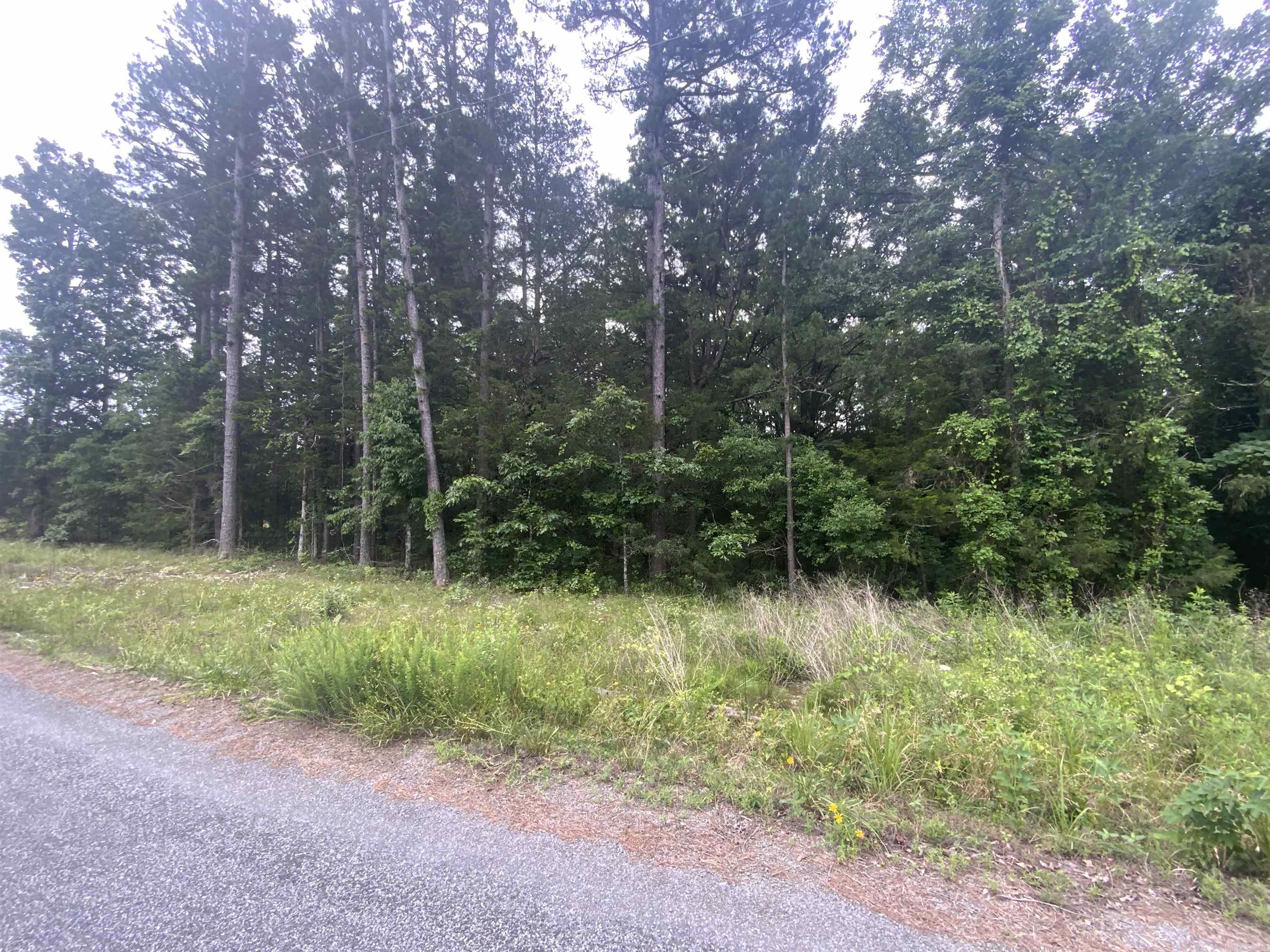 Pine Hills Estates - Land