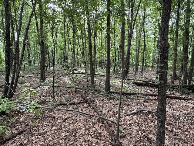 Metes & Bounds - Farm