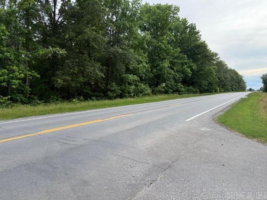 Come check out this 113 acre farm consisting of farm land, timber, creek with marshland all accessible by the highway. Approximately 6 acres of beautiful hardwoods along the highway which is perfect for building your dream home. Approximately 51 acres of farmland with a submersible well for irrigating crops . The middle of the farm is ideal for duck & deer hunting. Call to set up an appointment.