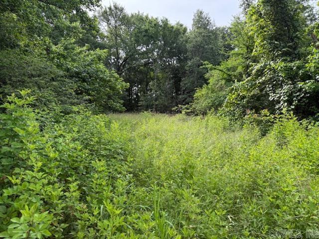 Metes & Bounds - Farm