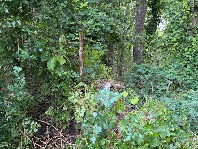 Metes & Bounds - Farm