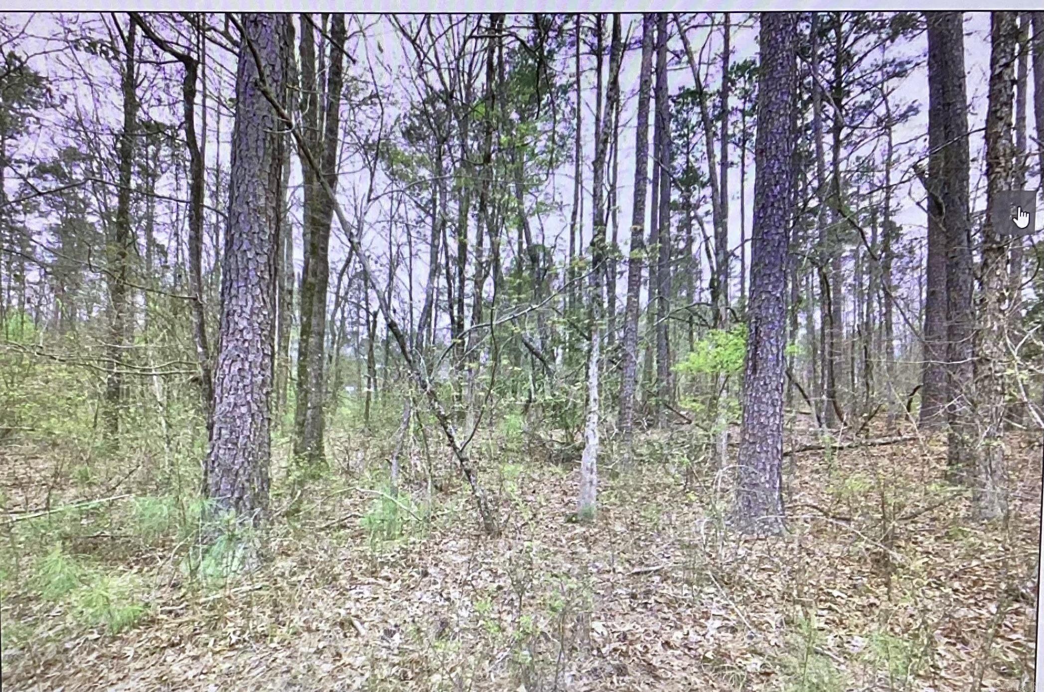 This beautiful piece of land is approximately 3± acres and located just about 130± yards from U.S. National Forest land, giving you access to thousands of acres for hiking, exploring, and enjoying the great outdoors. Acreage this close to National Forest is hard to find, making it a rare opportunity for a future homesite, weekend getaway, or recreational basecamp. The land is wooded with marketable timber and has no restrictions, making it a great option for a deer camp or whatever you have in mind. Whether you're planning to build or just want your own spot to enjoy nature, this property offers endless possibilities.