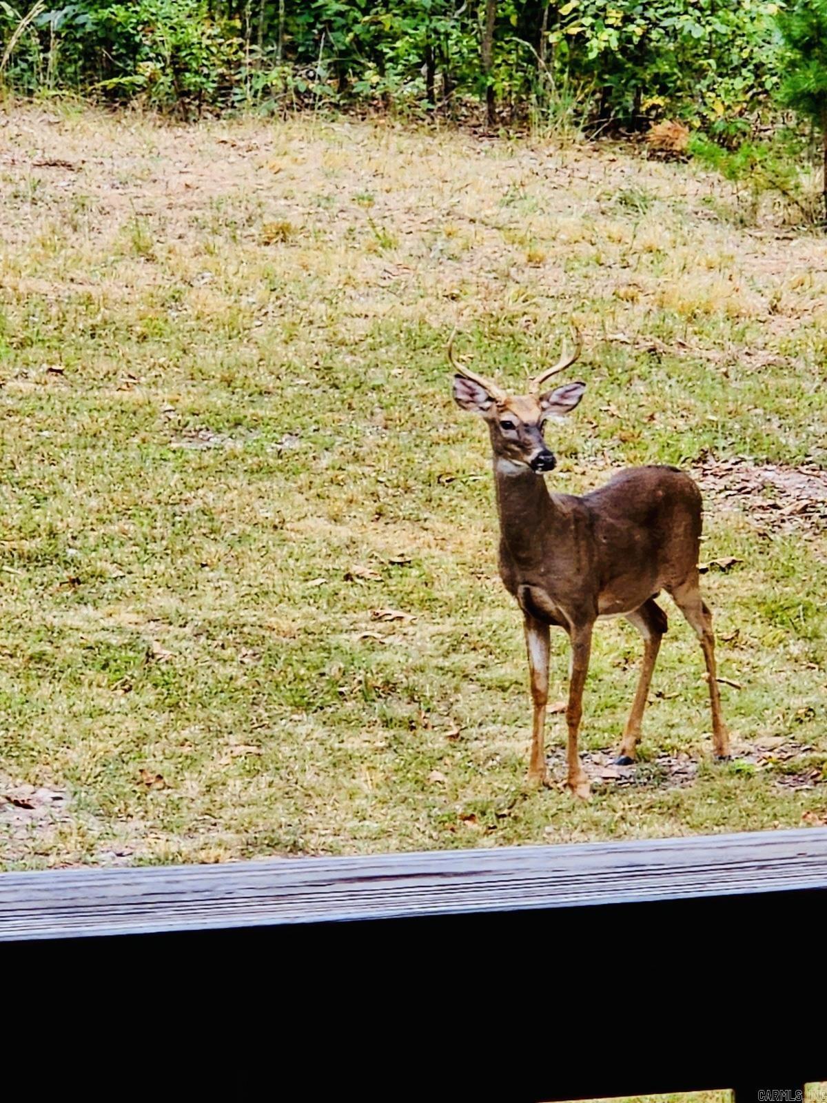 Brandons View - Residential