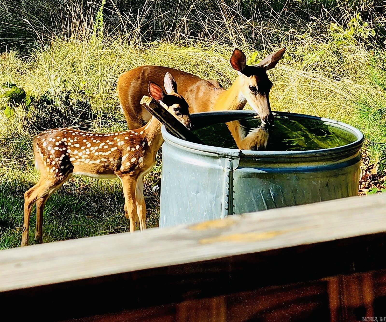 Brandons View - Residential