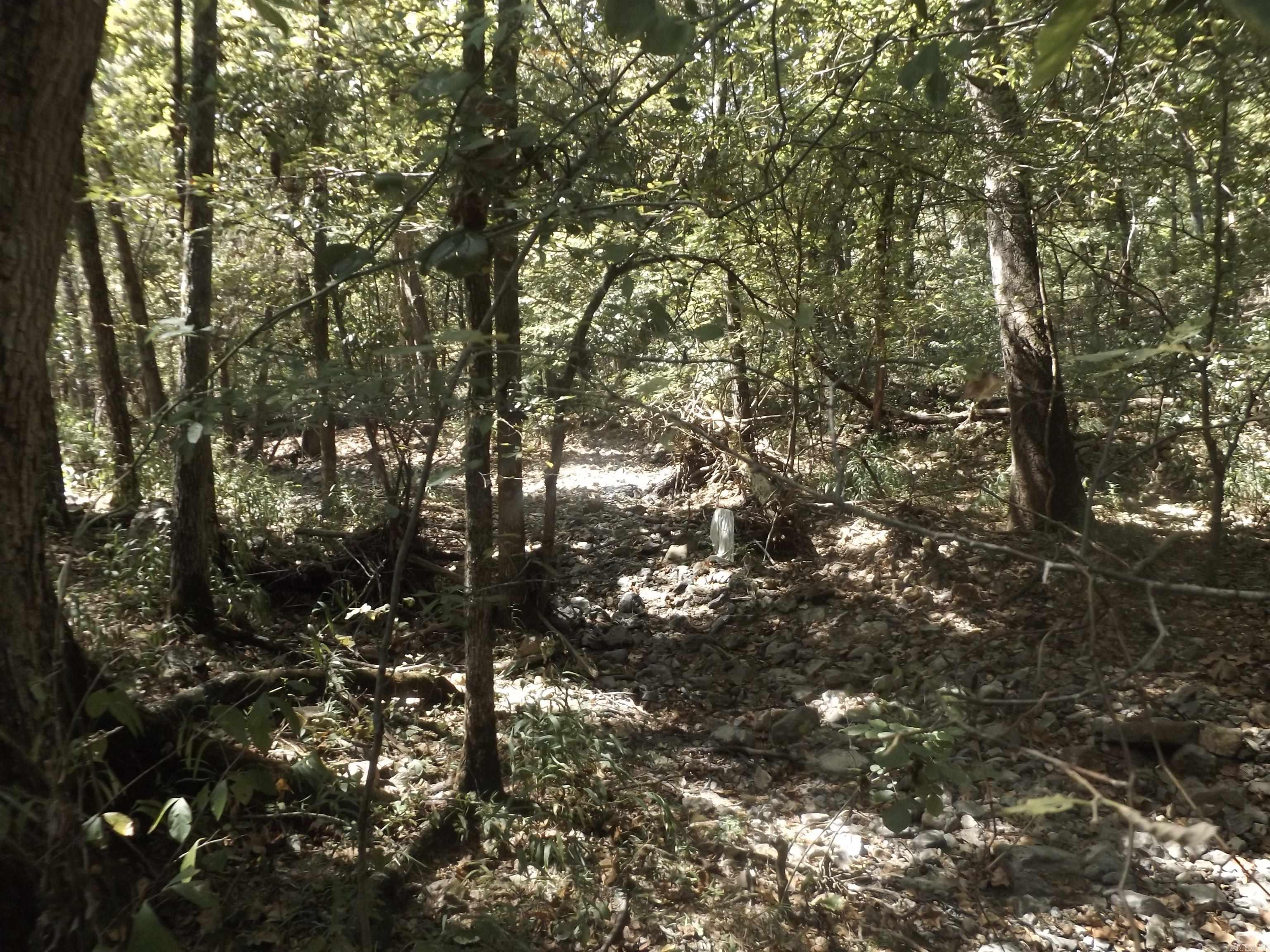 Windancer Estates - Land