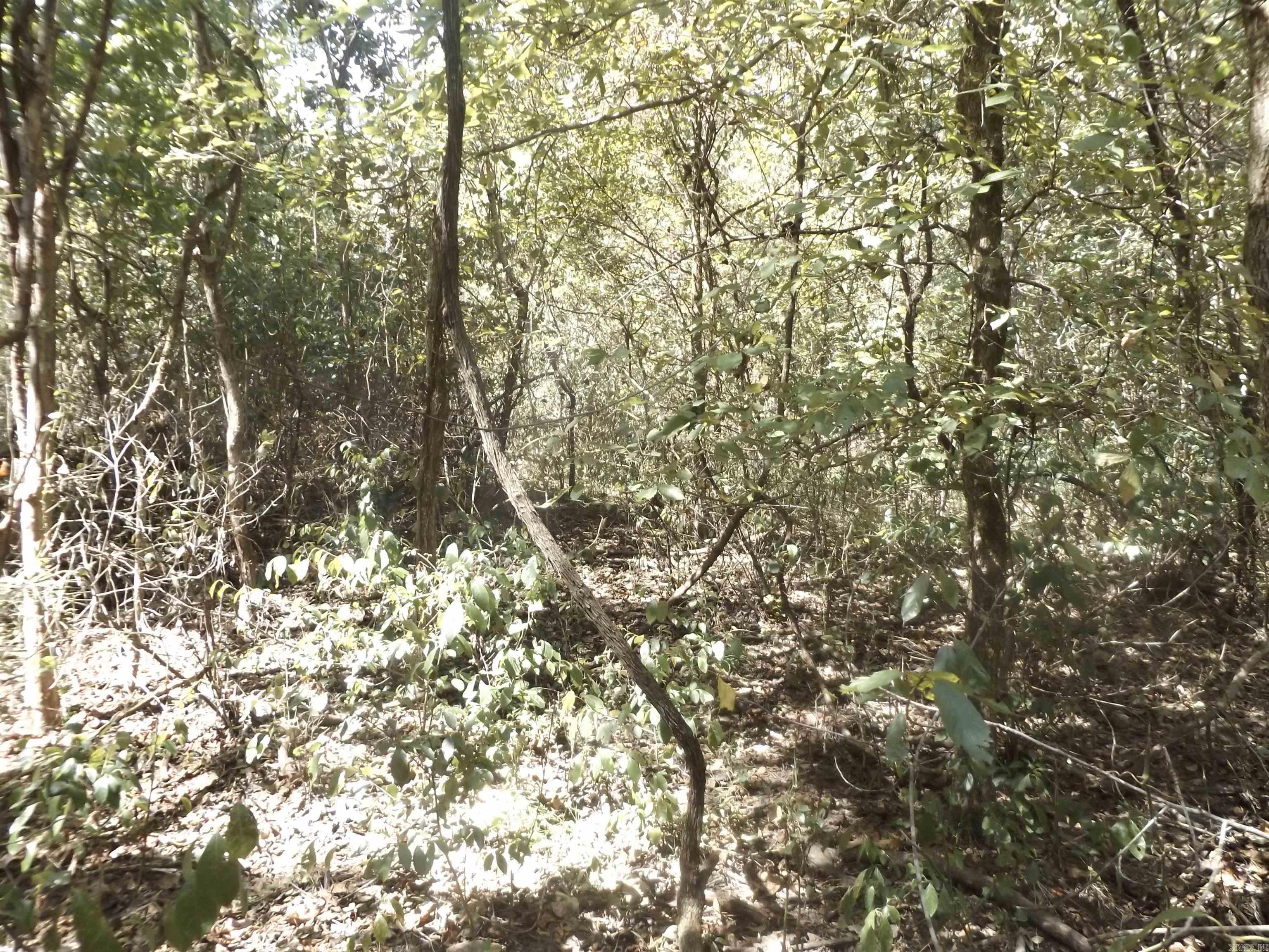 Windancer Estates - Land