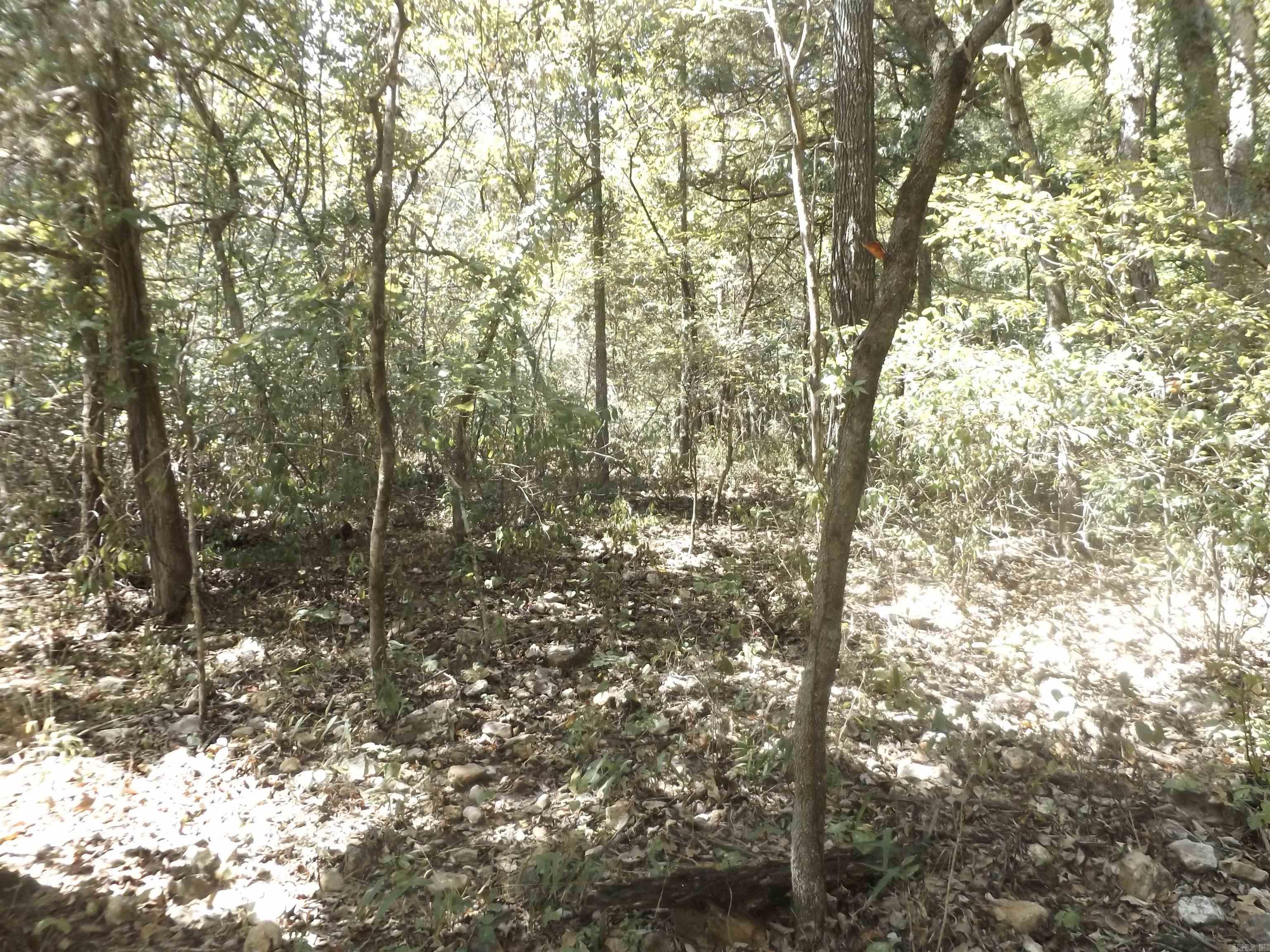 Windancer Estates - Land