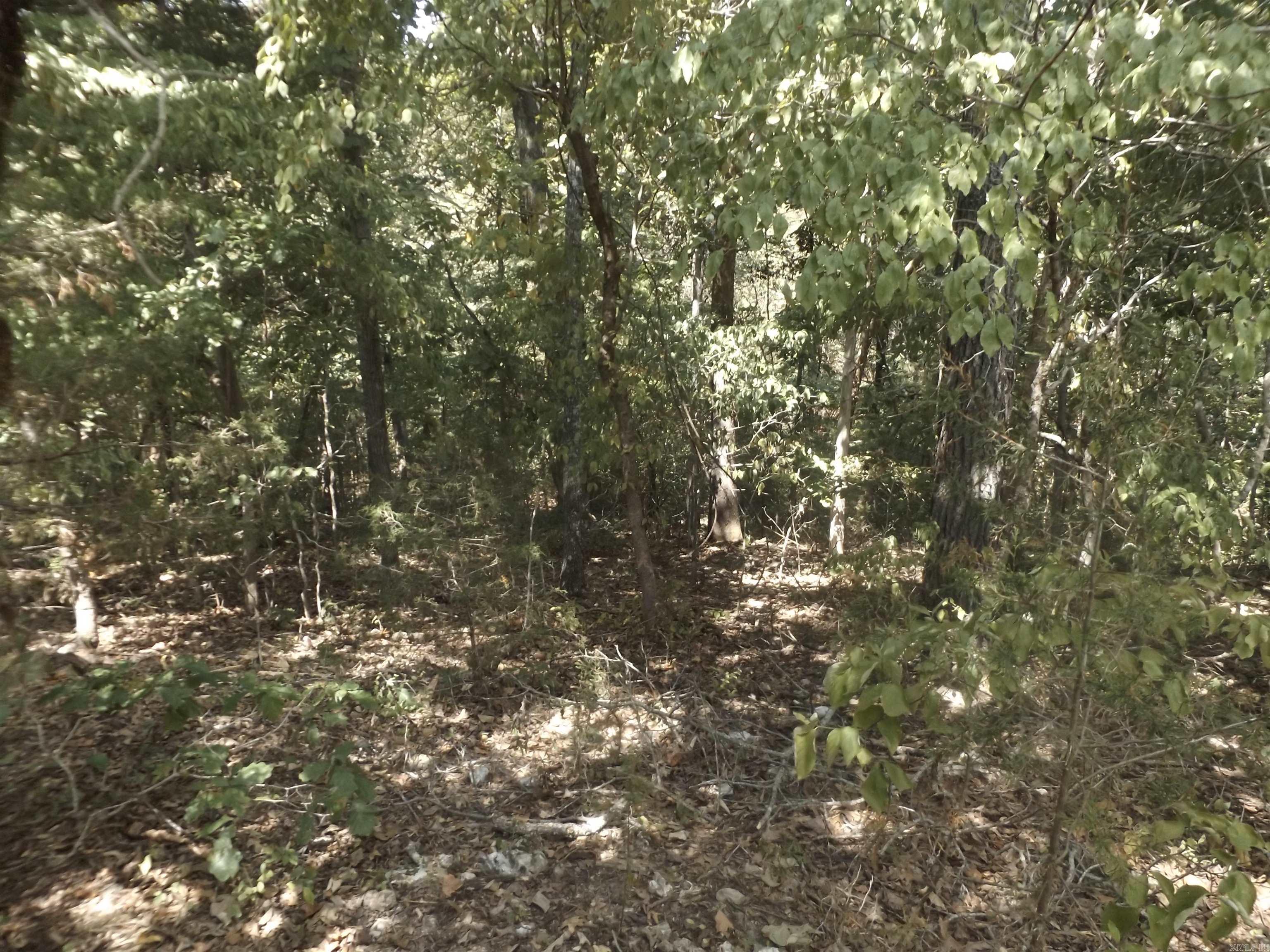 Windancer Estates - Land