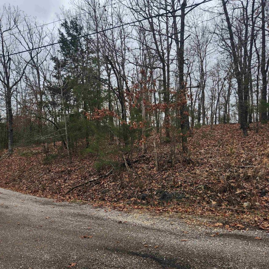 Gorgeous hilltop lot in the heart of Cherokee Village. This lot overlooks Right Prong Creek, a wet weather creek that feeds into Lake Thunderbird. It is secluded and away from it all. But close to a main road for quick exits from the Village for shopping, dining and entertainment. This lot backs up to a 160+/- acre plat of undeveloped land in the center of the village. That means wildlife galore. Buy this lot and pick your spot to build your hilltop dream home or just a getaway cabin. With ownership of this lot, you will have access to all the amenities of Cherokee Village such as the 7 lakes and Two 18-hole golf courses also the Thunderbird Center and swimming pool, mini golf, parks, hiking trails and don't forget about the beautiful Southfork River for fishing, kayaking or just floating down to wet your toes. This is a wonderful lot to purchase and plan for your future home. Call to purchase this one today.