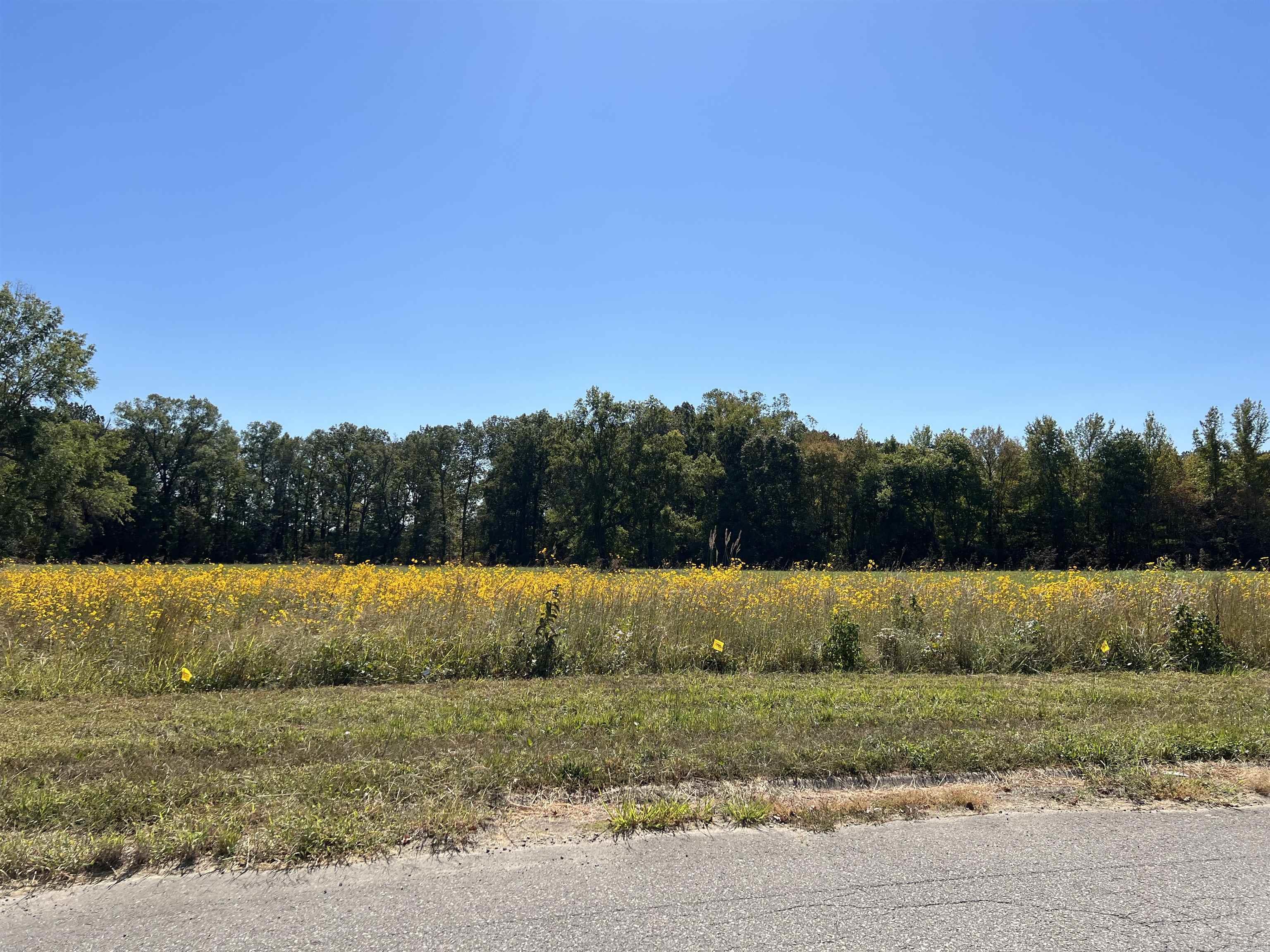 South Main Commercial Park - Commercial Sale